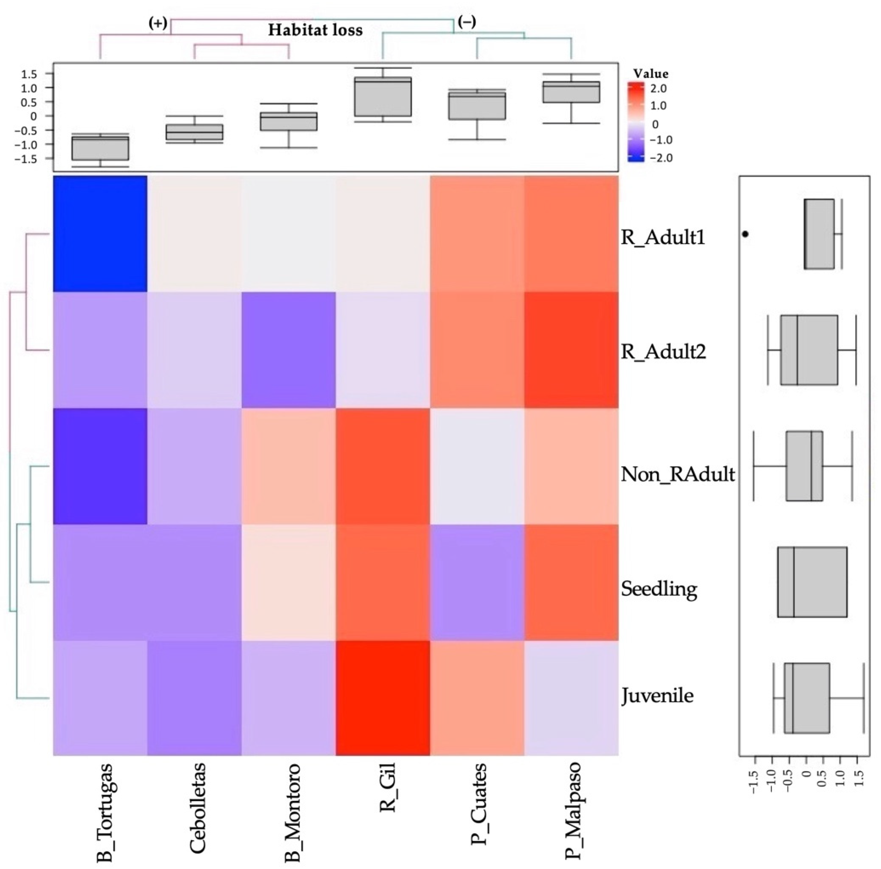 Diversity 13 00421 g004