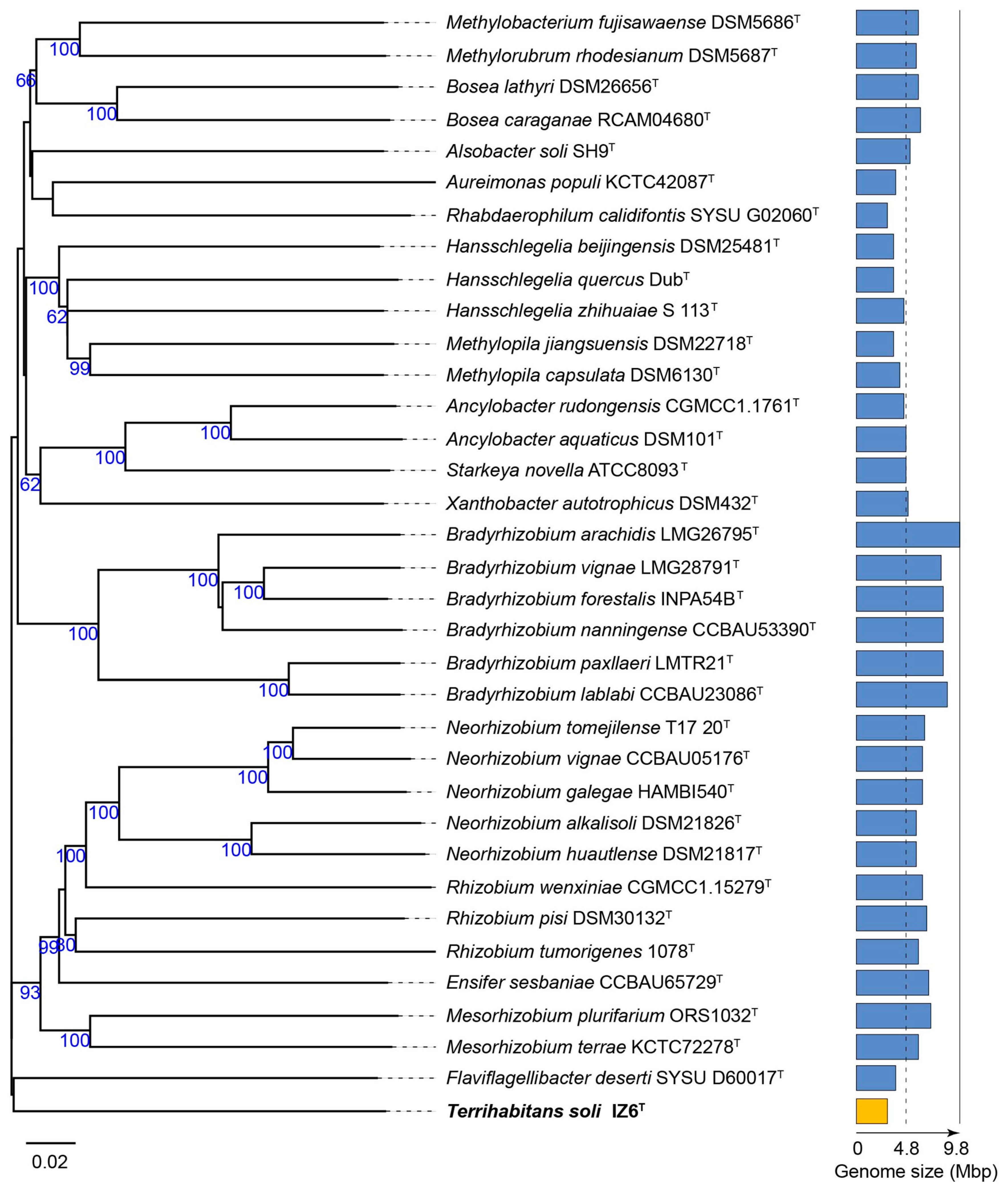 Diversity 13 00422 g001