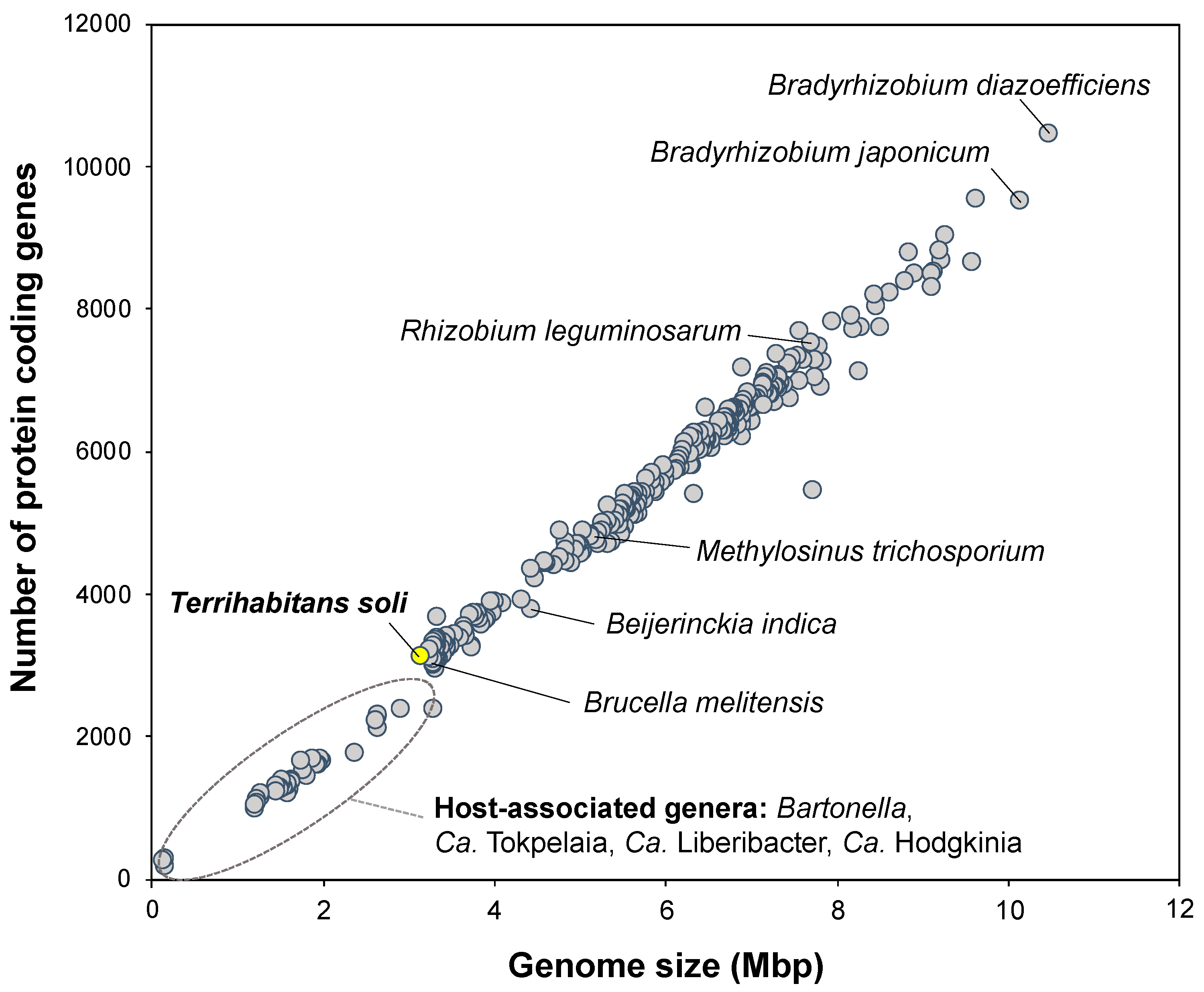 Diversity 13 00422 g002