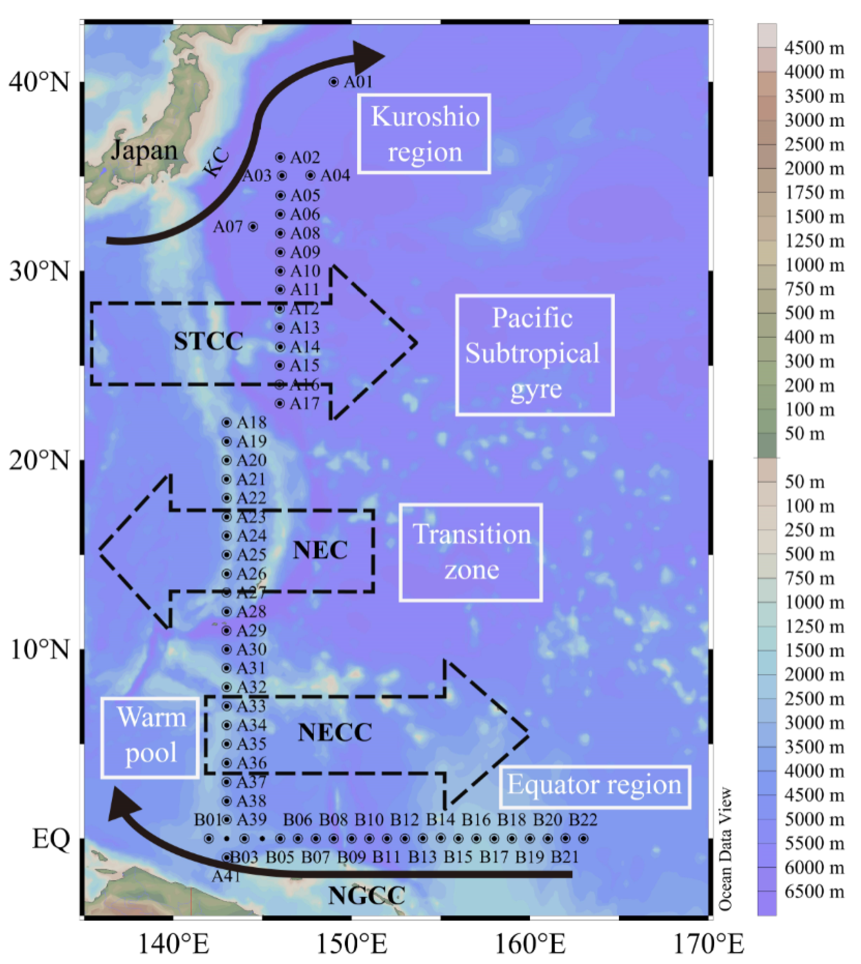 Diversity 13 00428 g001