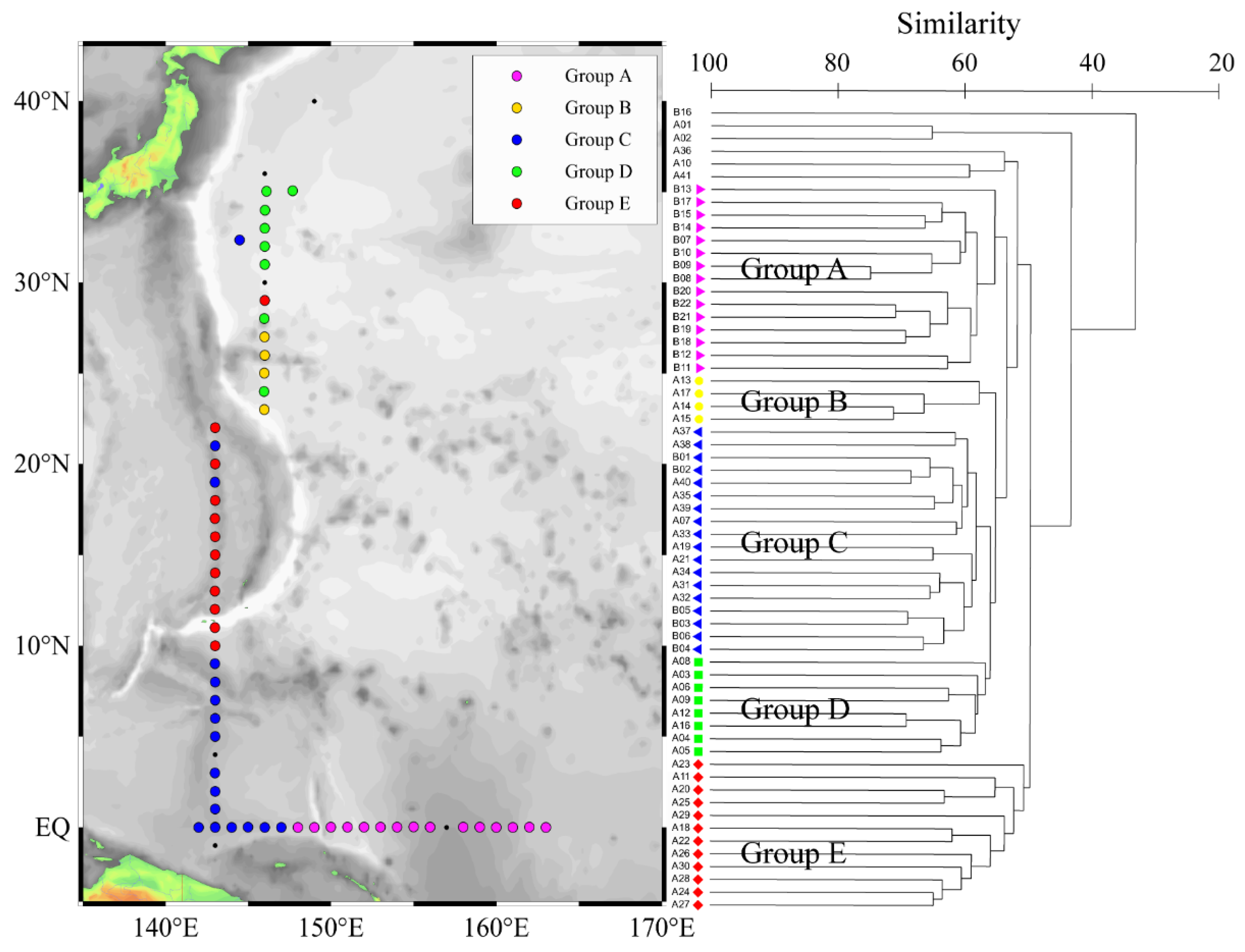 Diversity 13 00428 g003