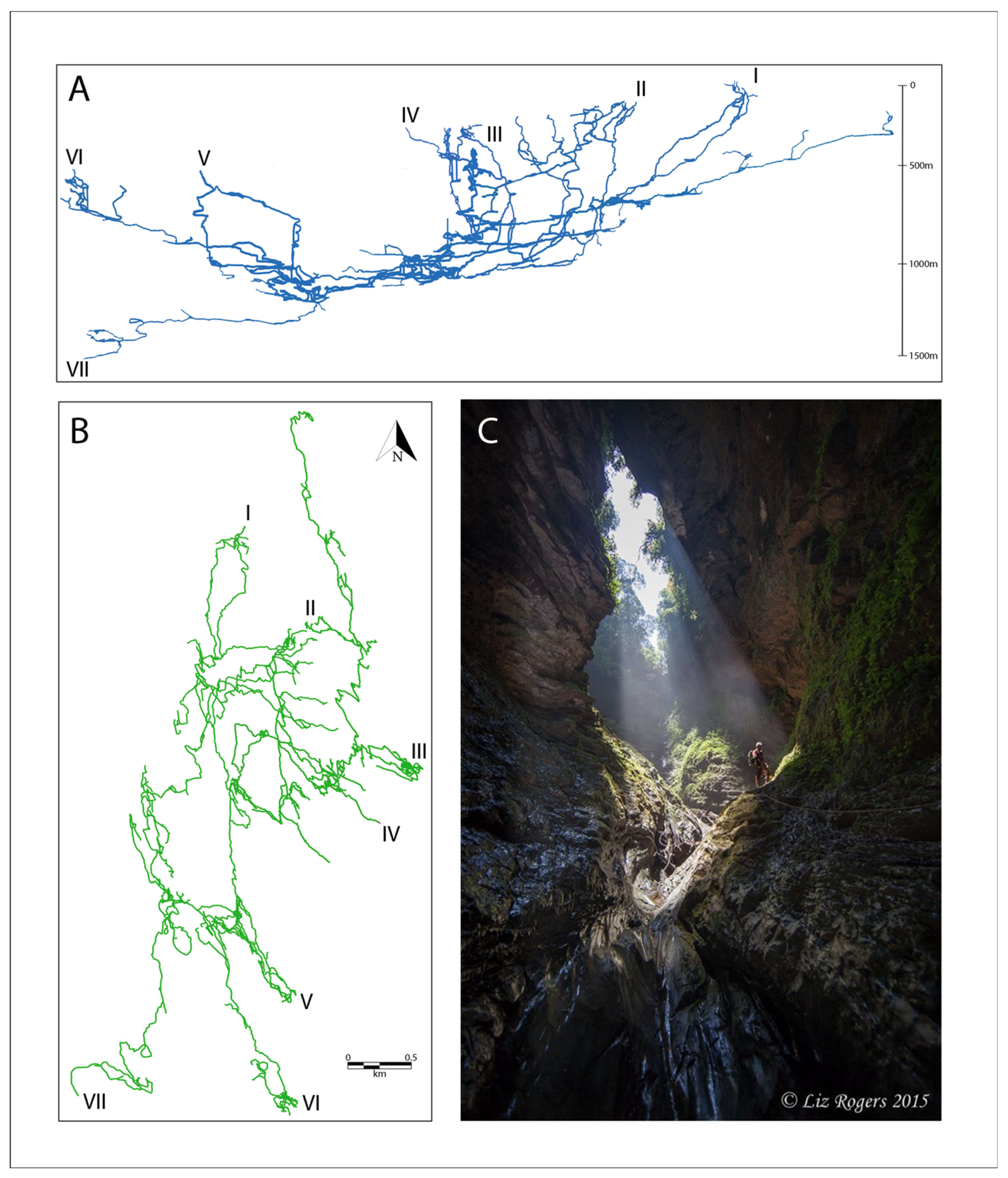 Diversity 13 00429 g001