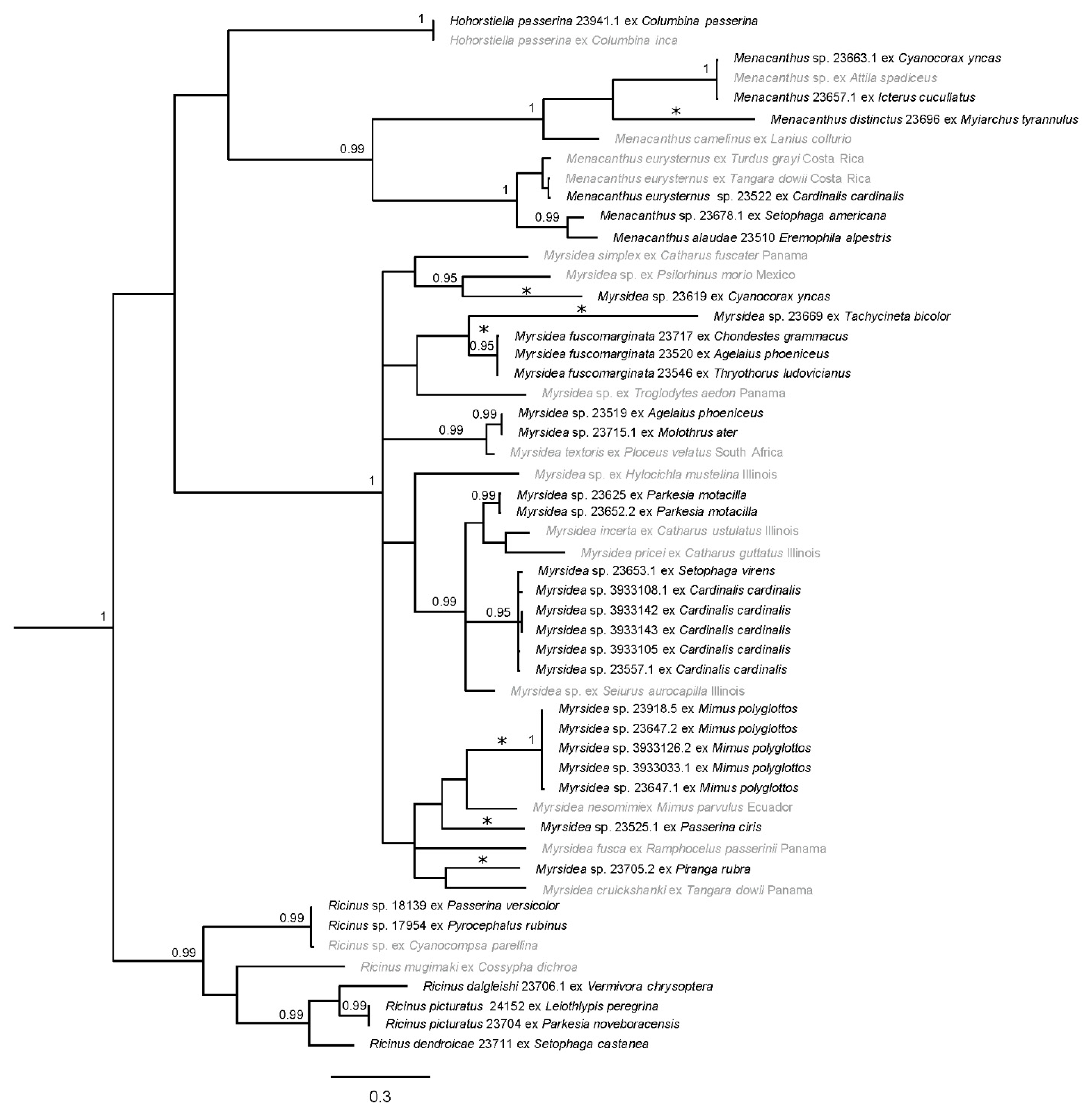 Diversity 13 00430 g002