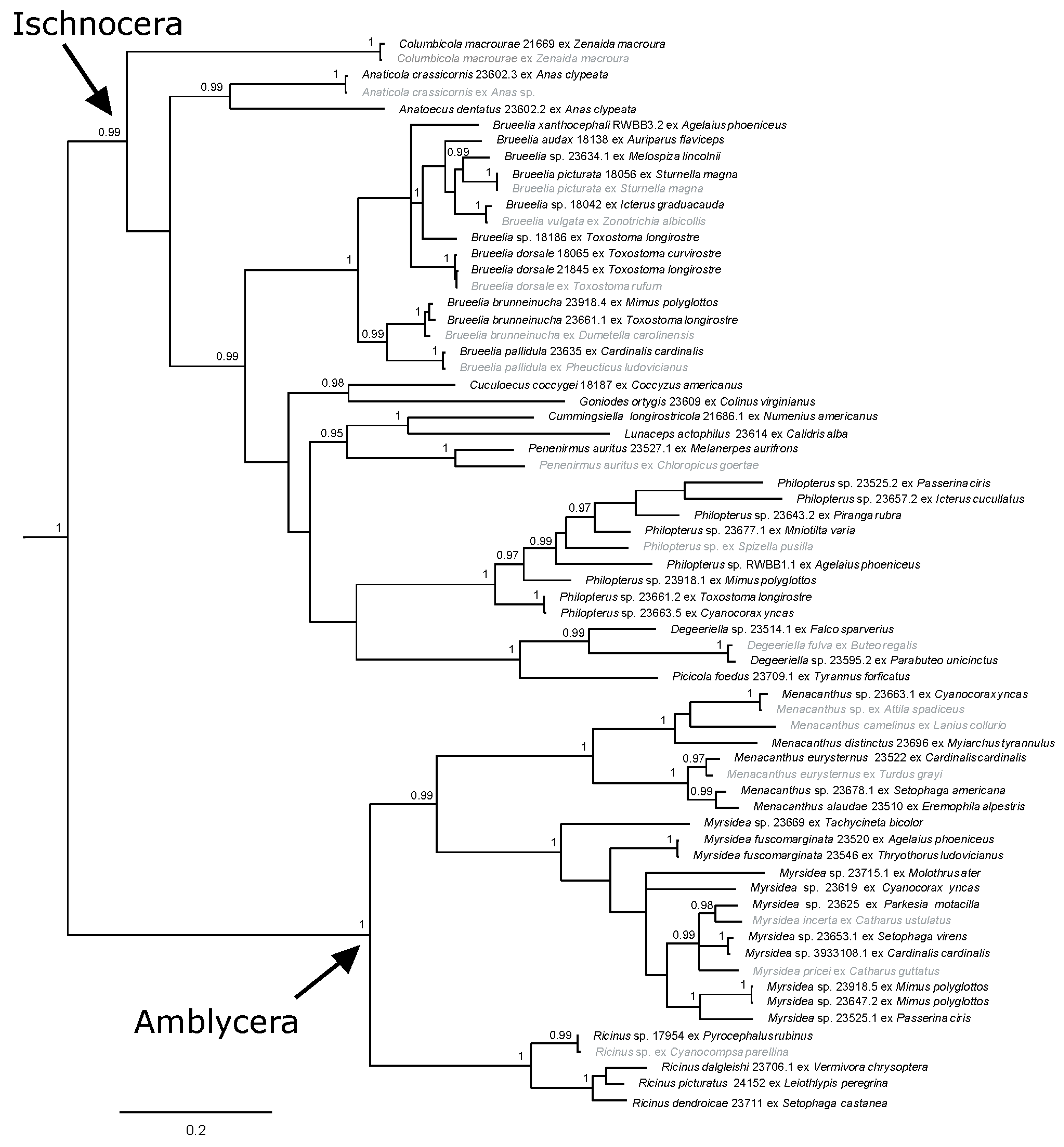Diversity 13 00430 g004