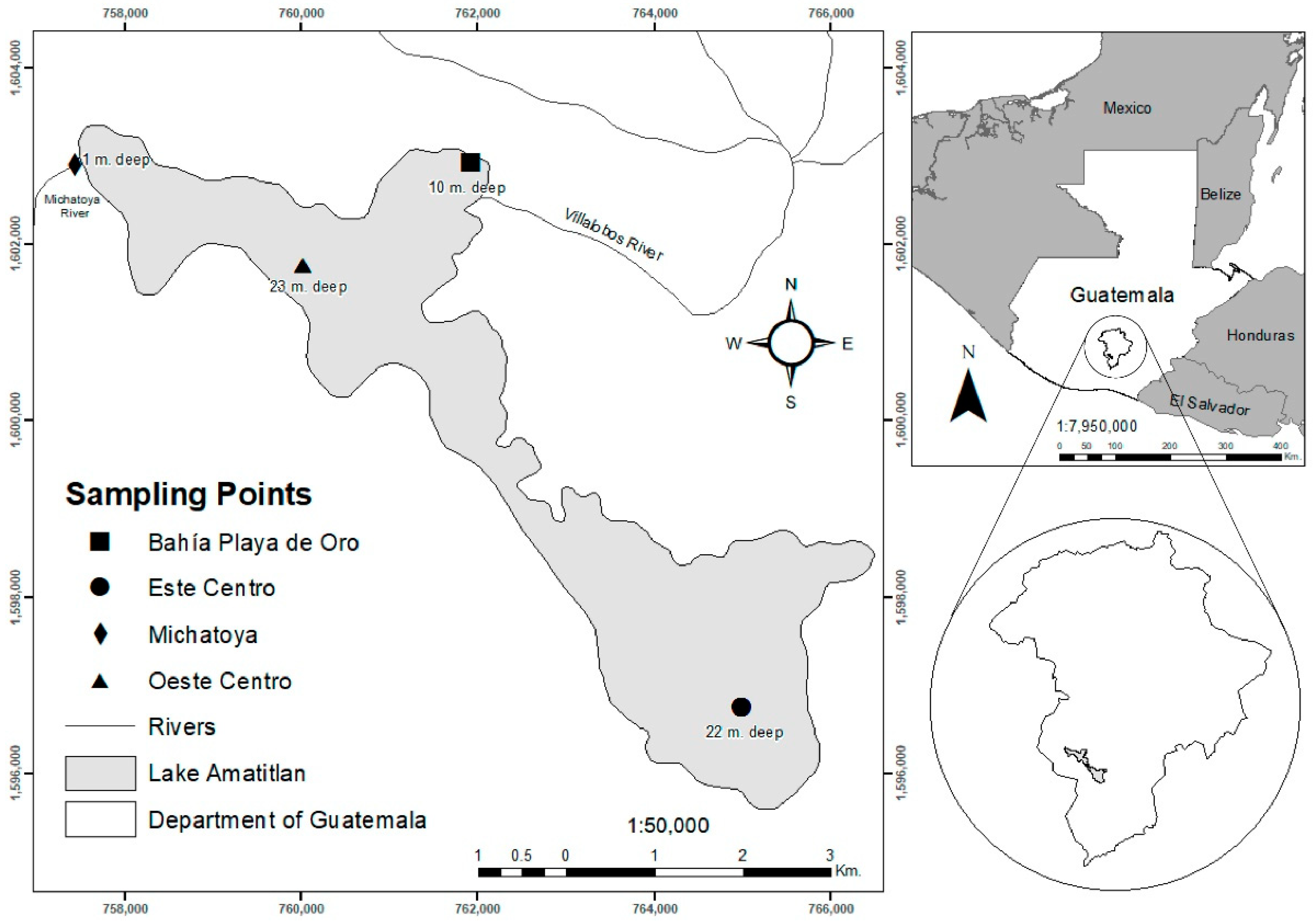 Diversity 13 00432 g001