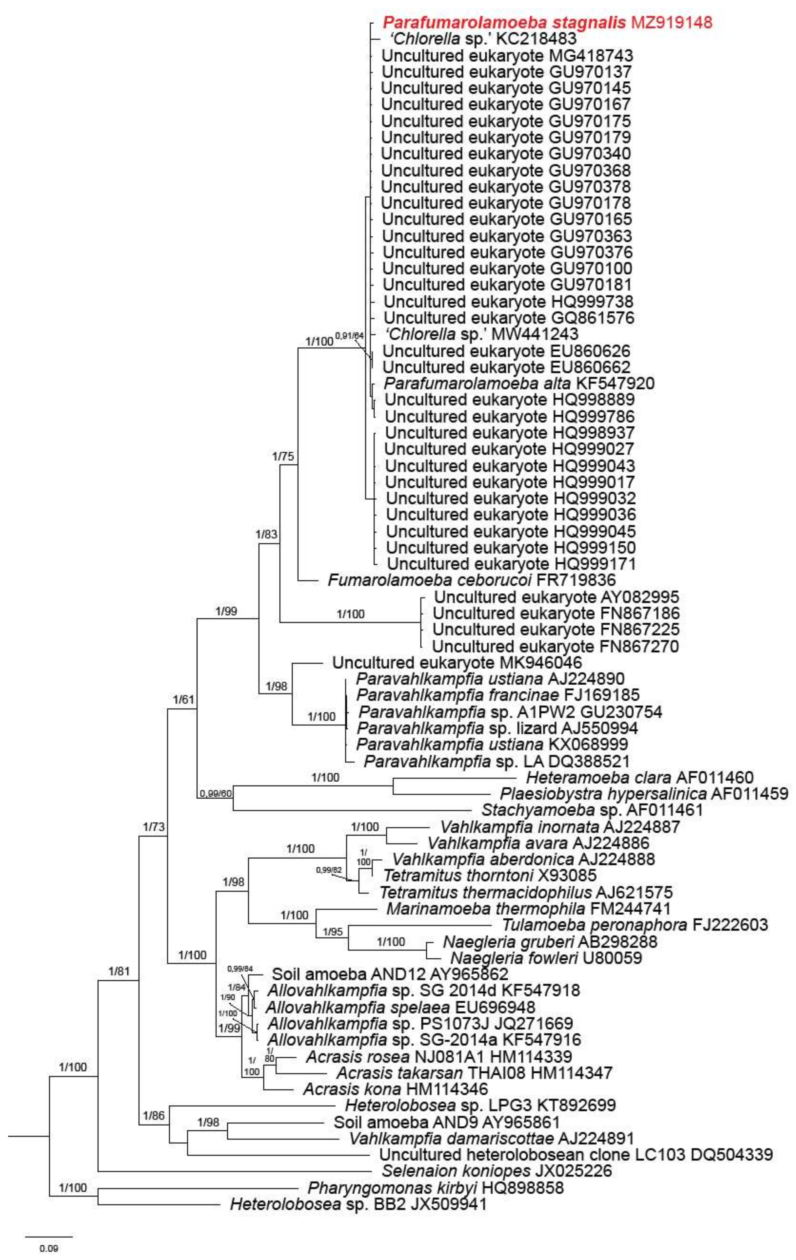 Diversity 13 00433 g004 Diversity 13 00433 g004