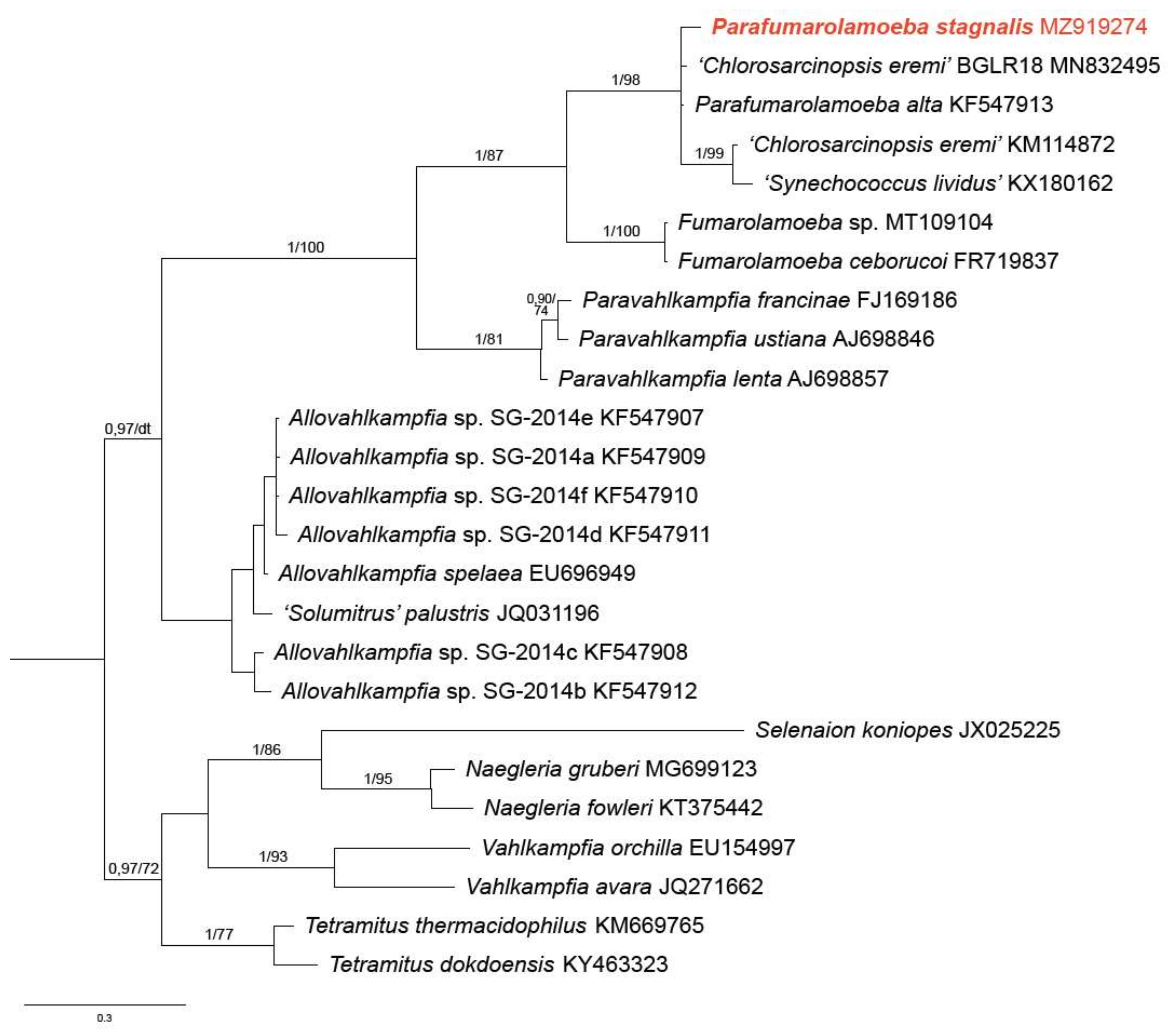 Diversity 13 00433 g005 Diversity 13 00433 g005