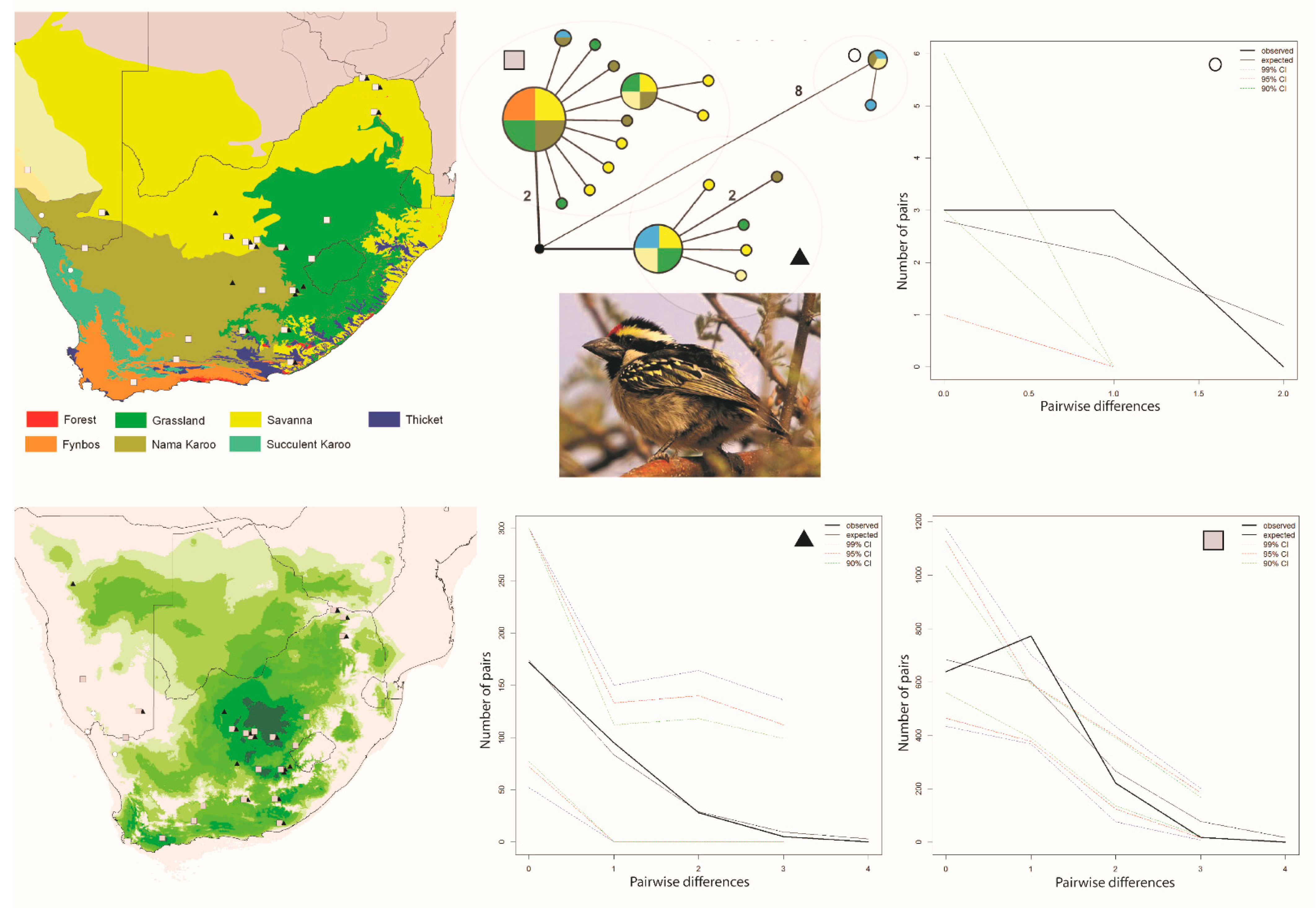 Diversity 13 00434 g003