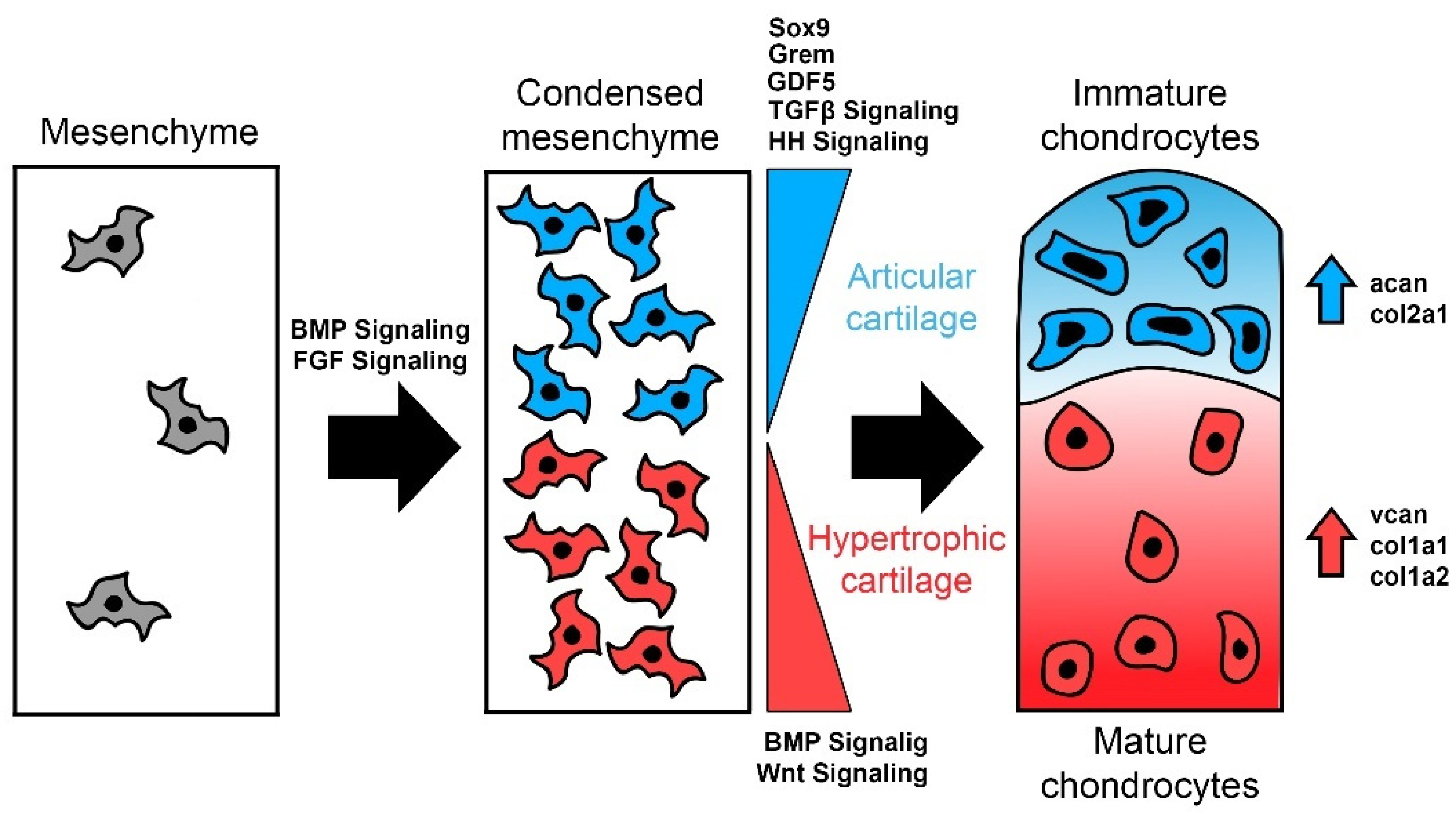 Diversity 13 00435 g003