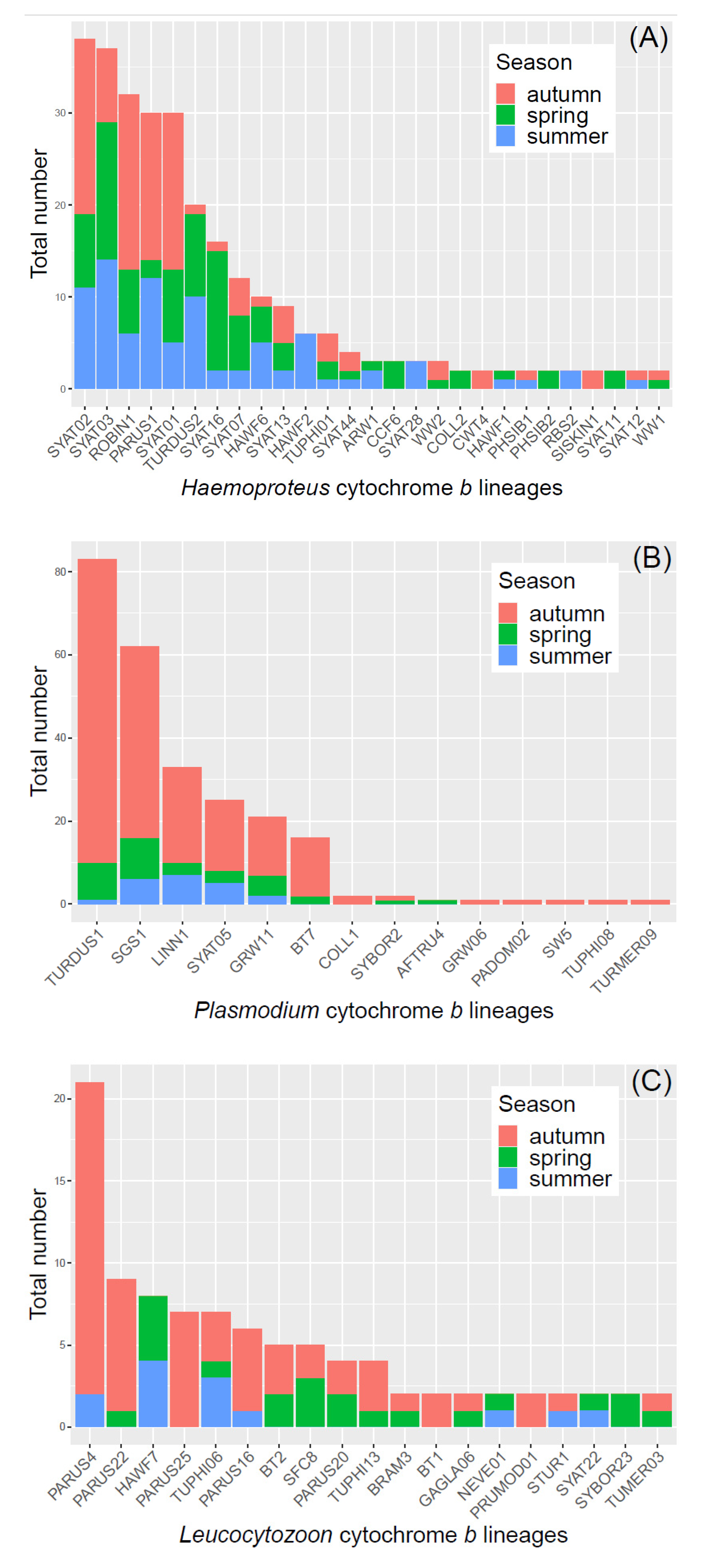 Diversity 13 00439 g004