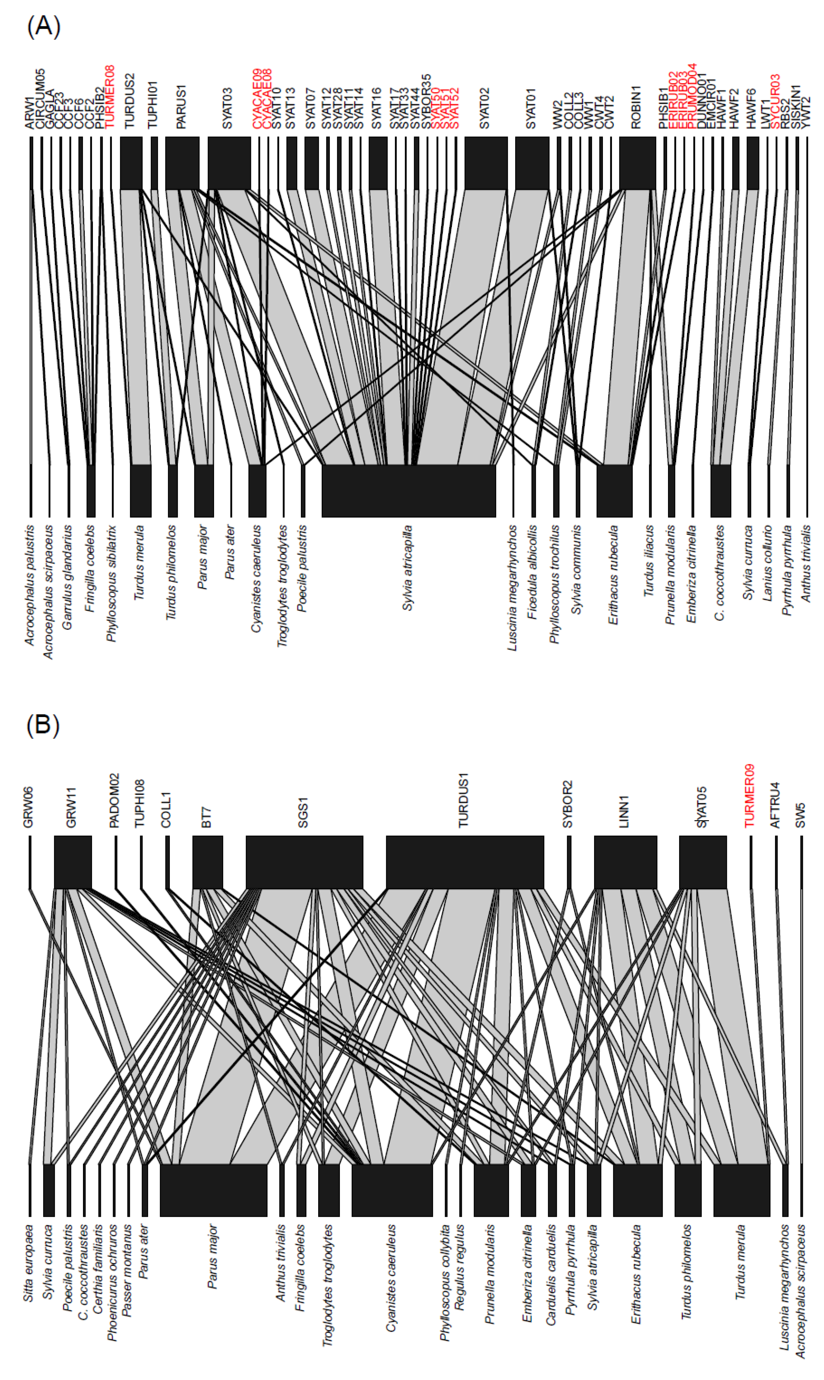 Diversity 13 00439 g006a