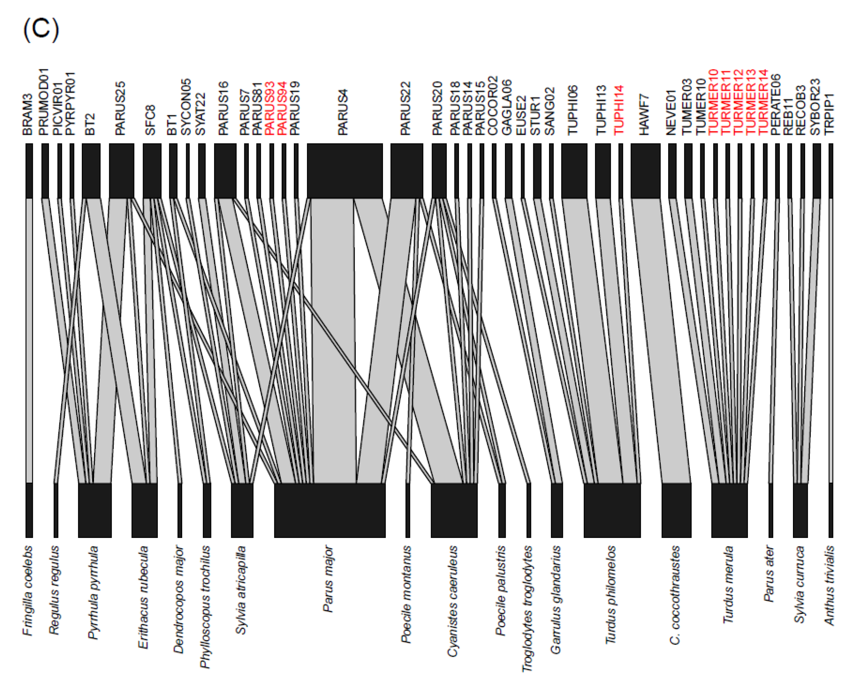 Diversity 13 00439 g006b
