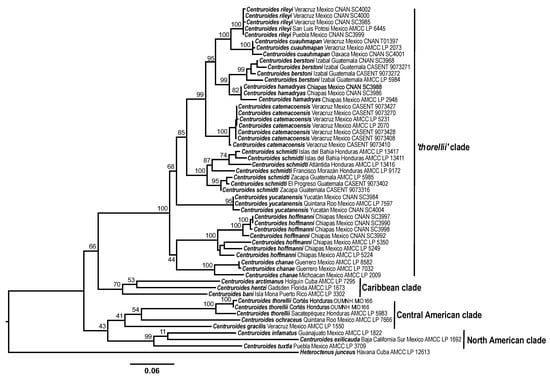 Diversity 13 00441 g002 550