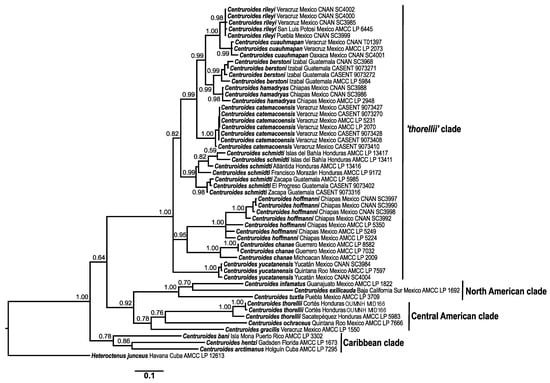 Diversity 13 00441 g003 550
