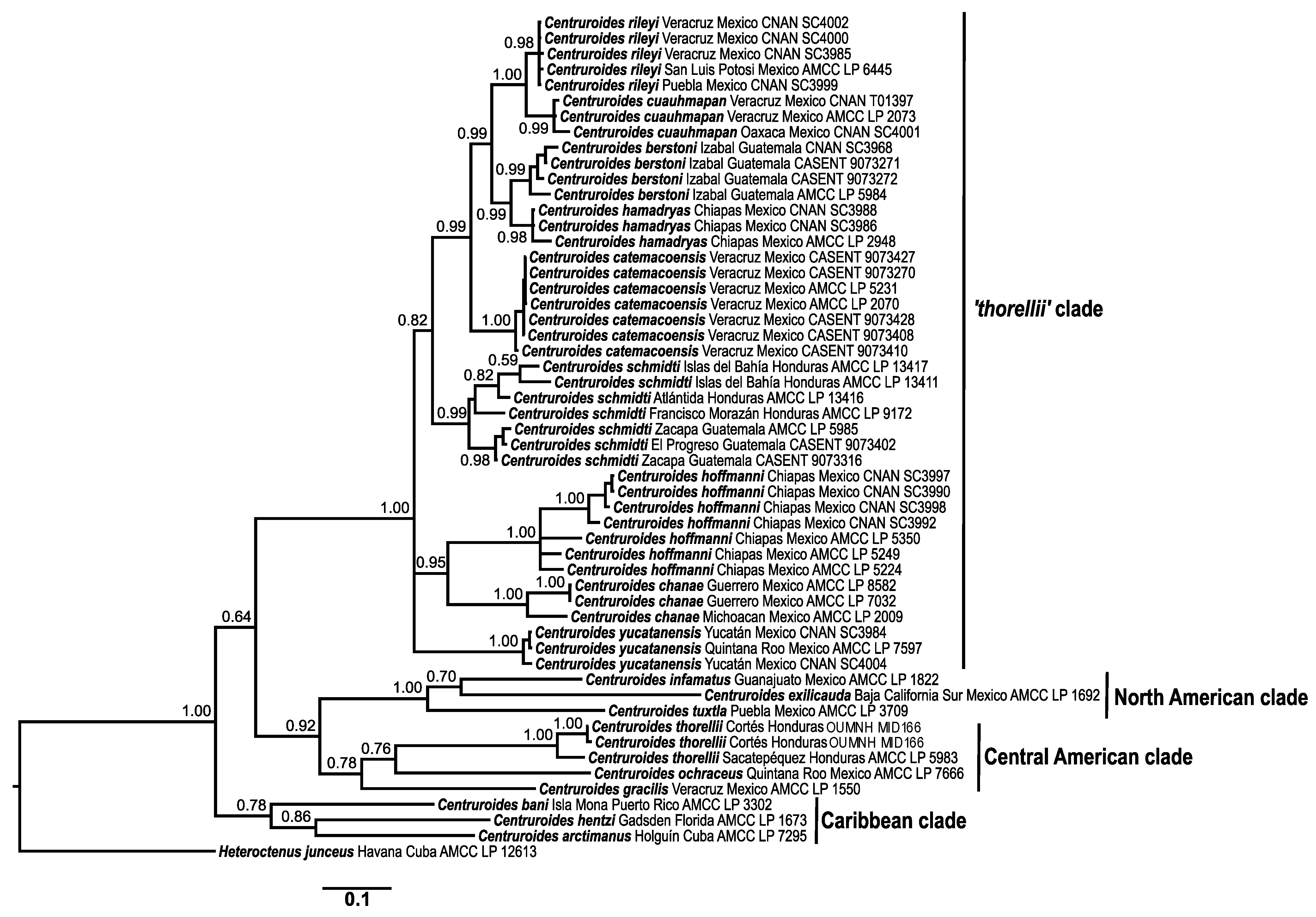 Diversity 13 00441 g003