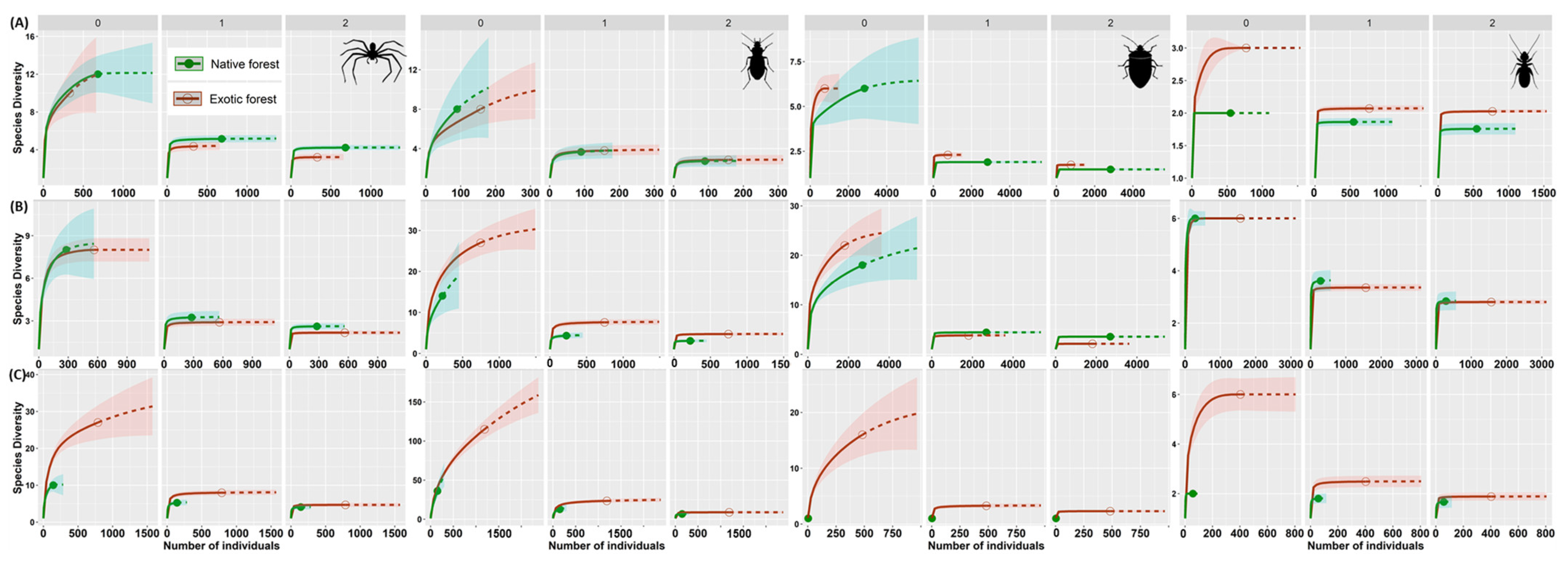 Diversity 13 00443 g001