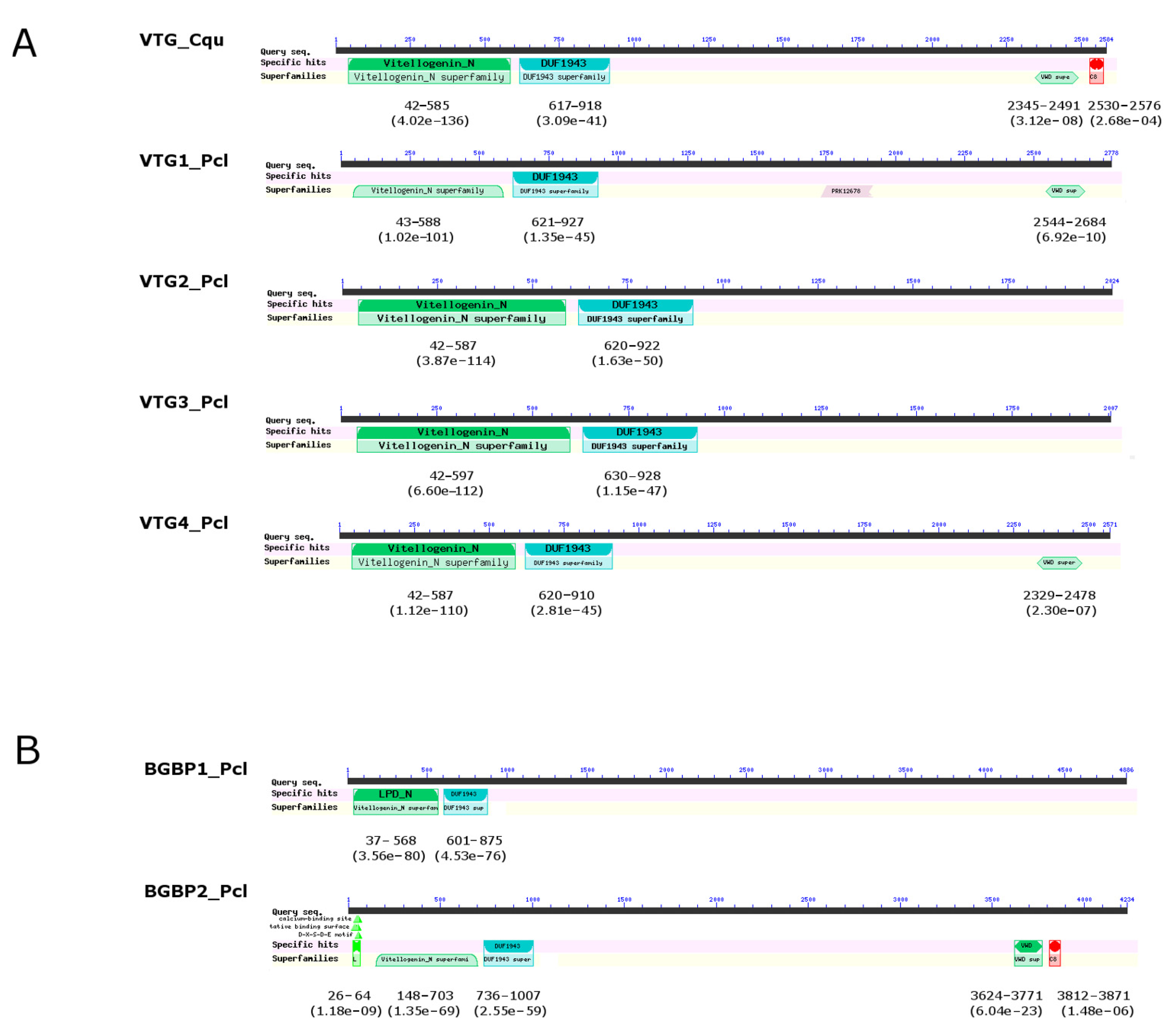 Diversity 13 00445 g001