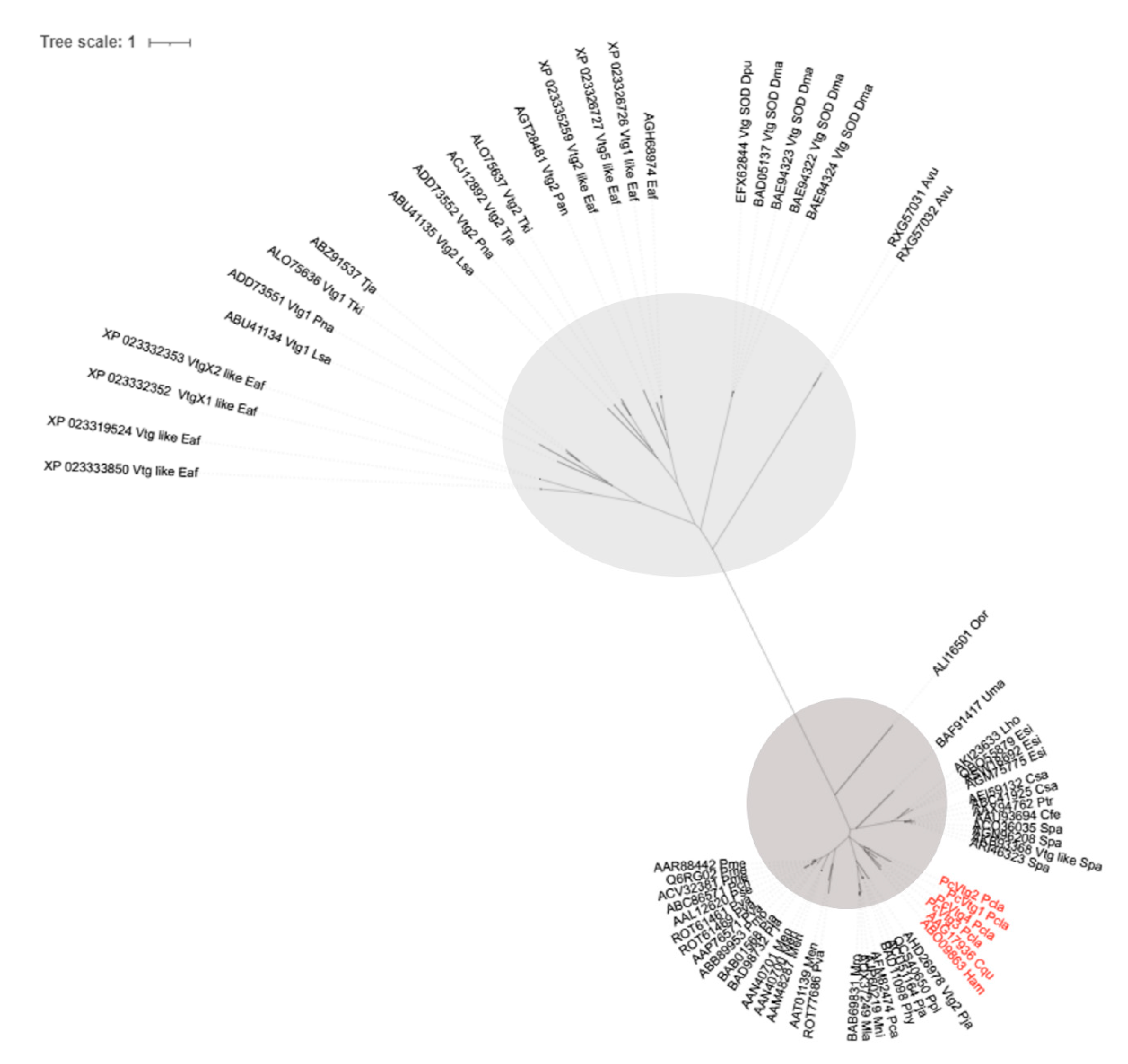Diversity 13 00445 g002