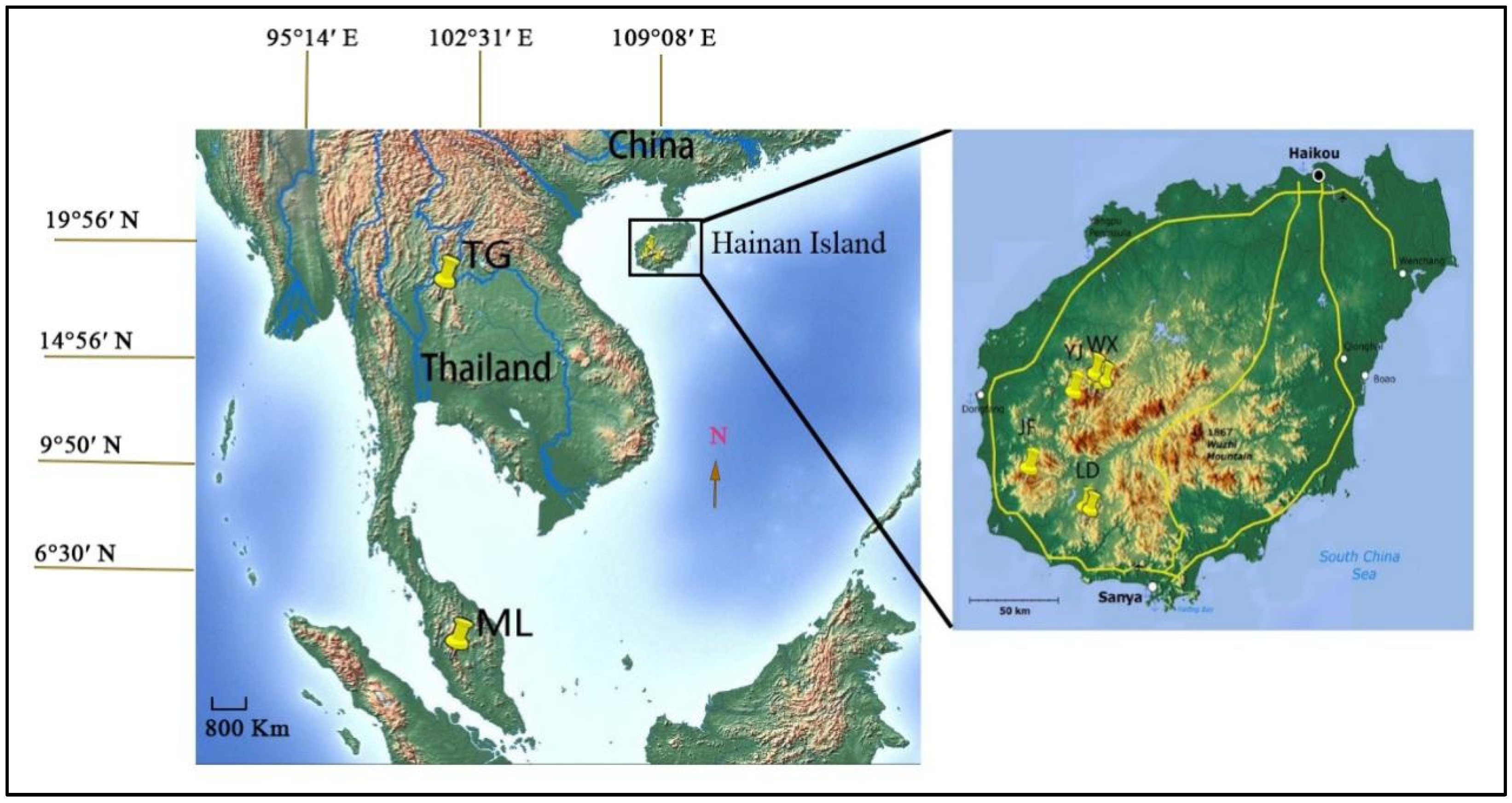 Diversity 13 00446 g001