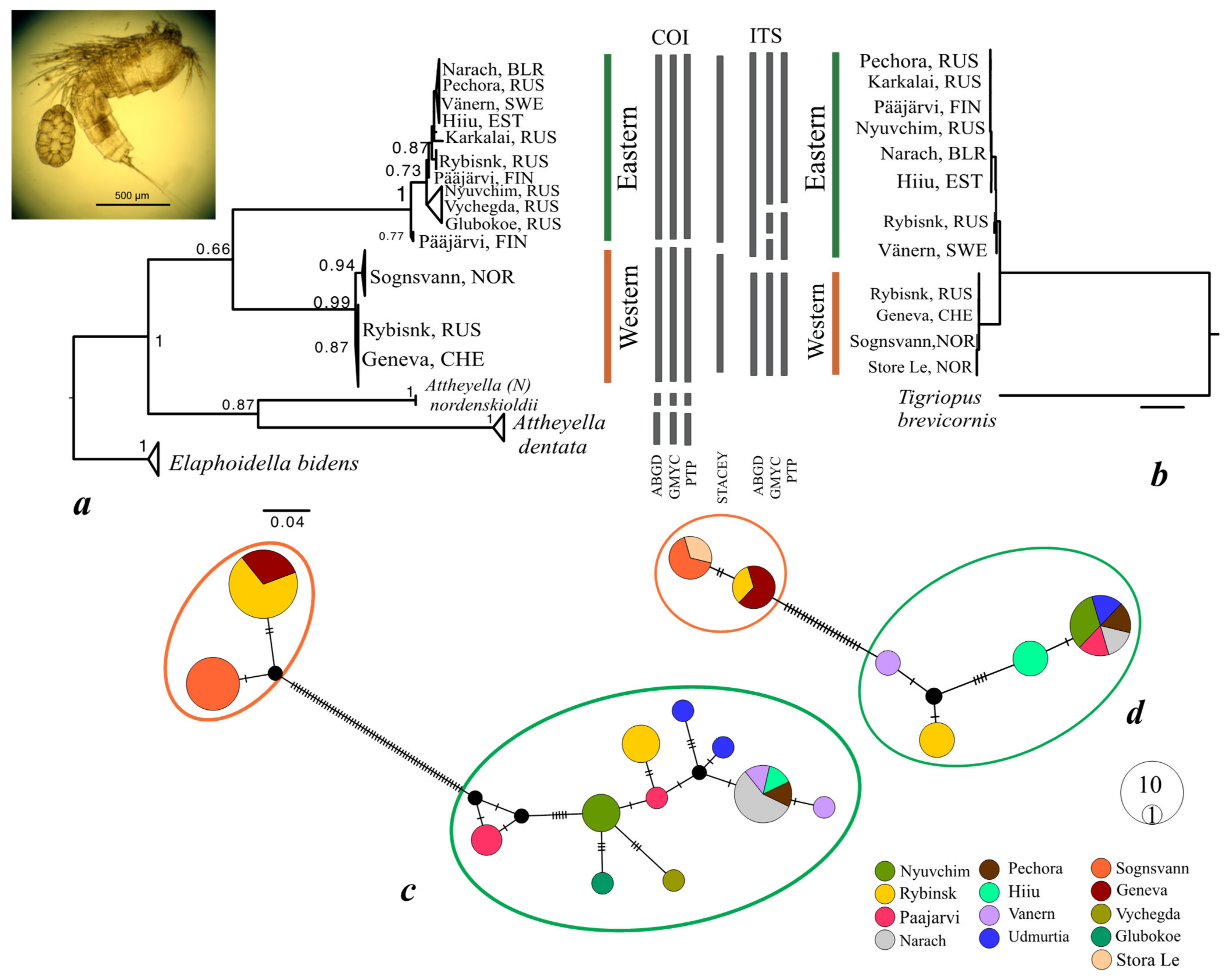 Diversity 13 00448 g001