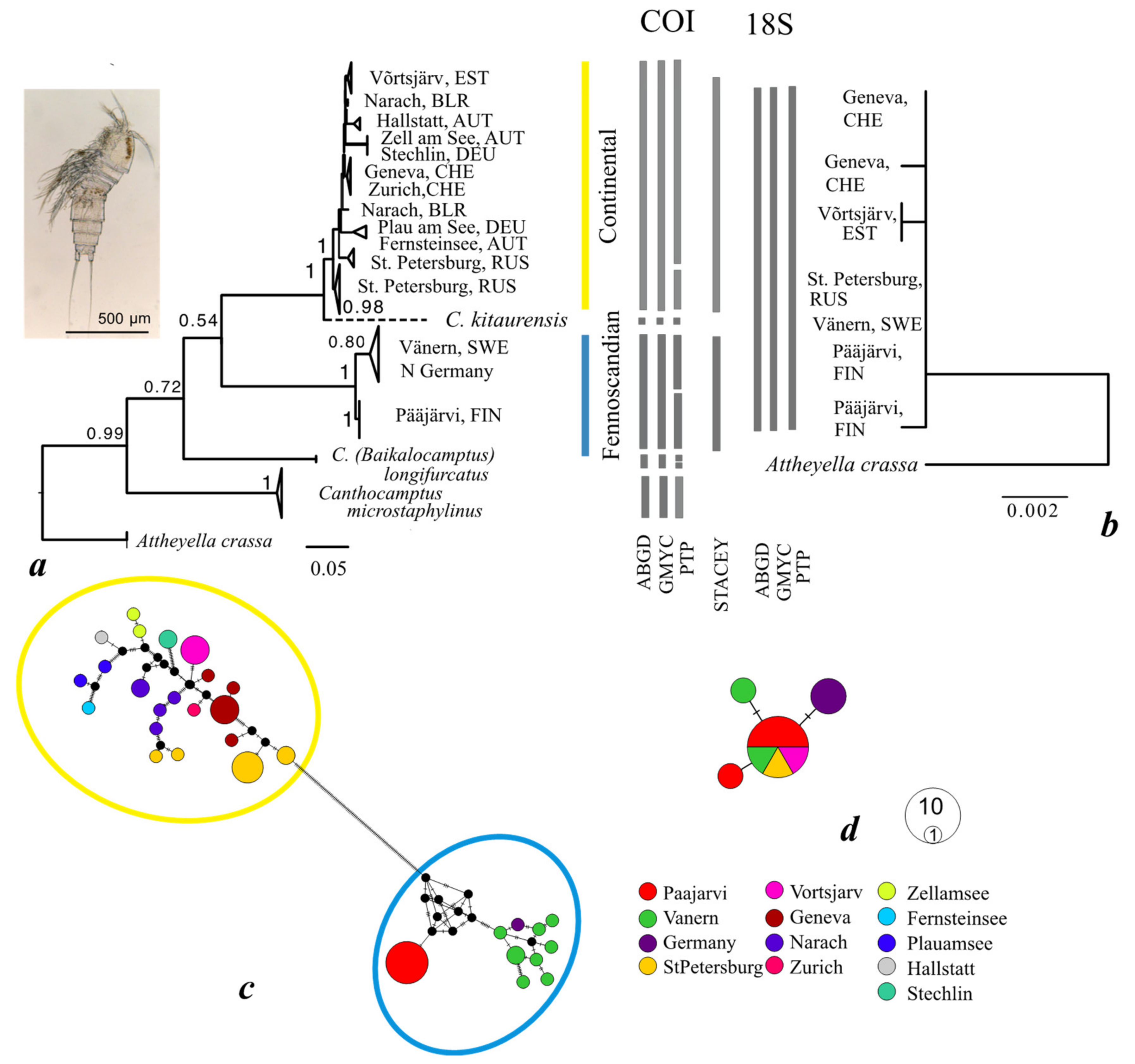 Diversity 13 00448 g002