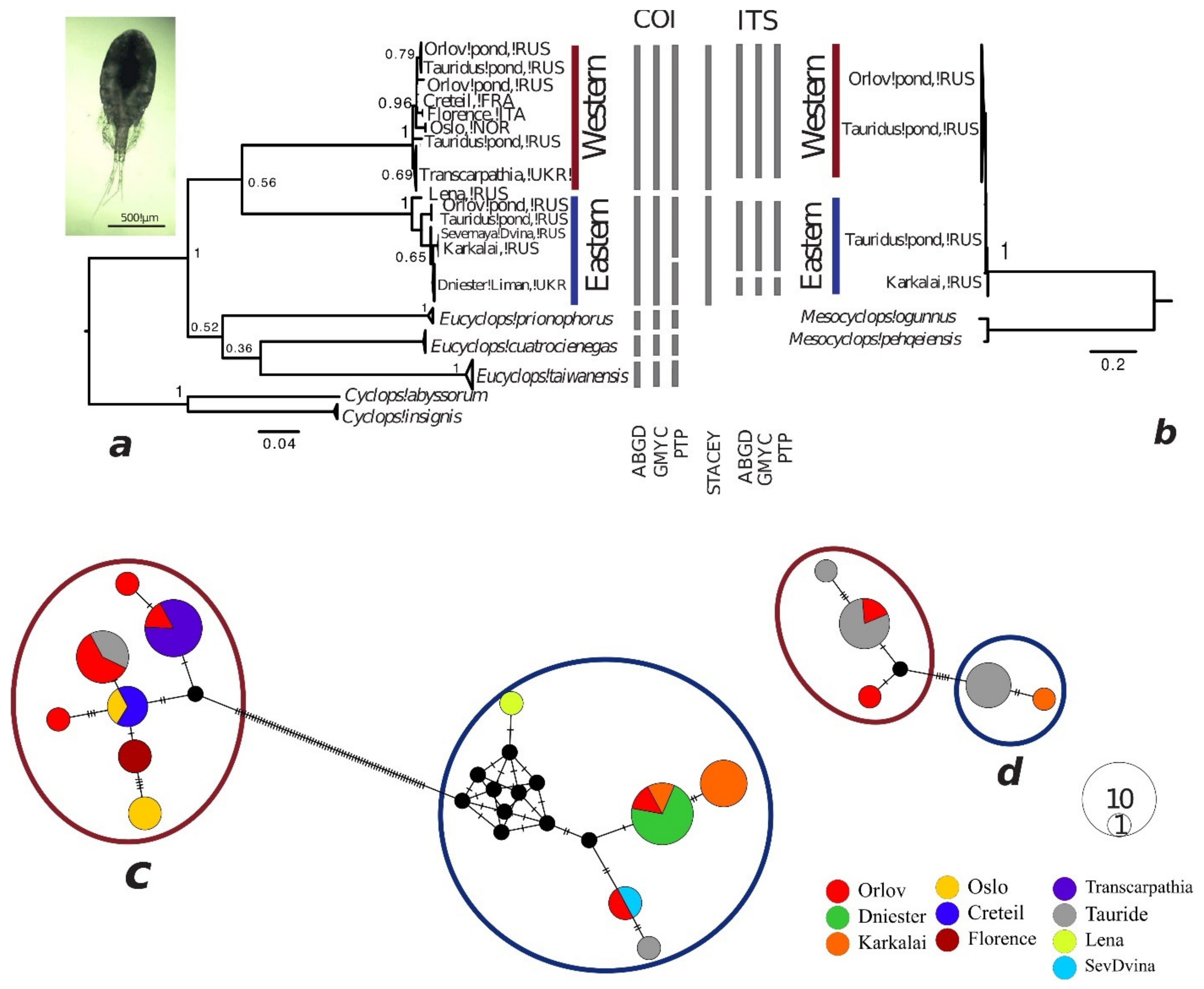 Diversity 13 00448 g003
