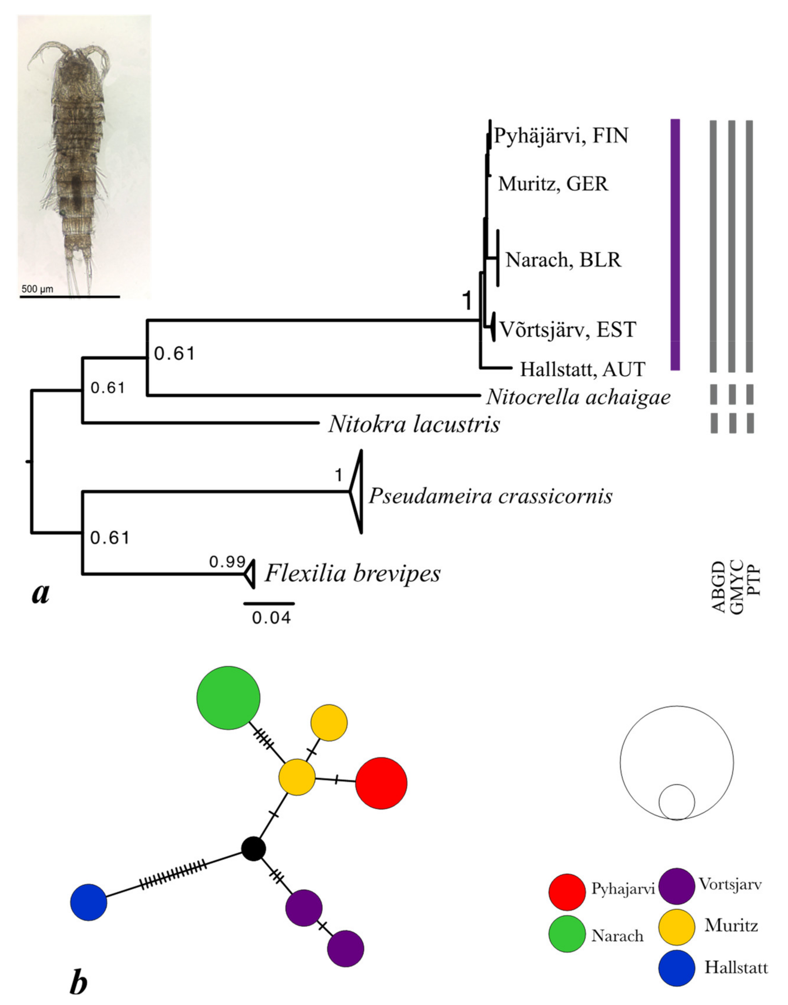 Diversity 13 00448 g004