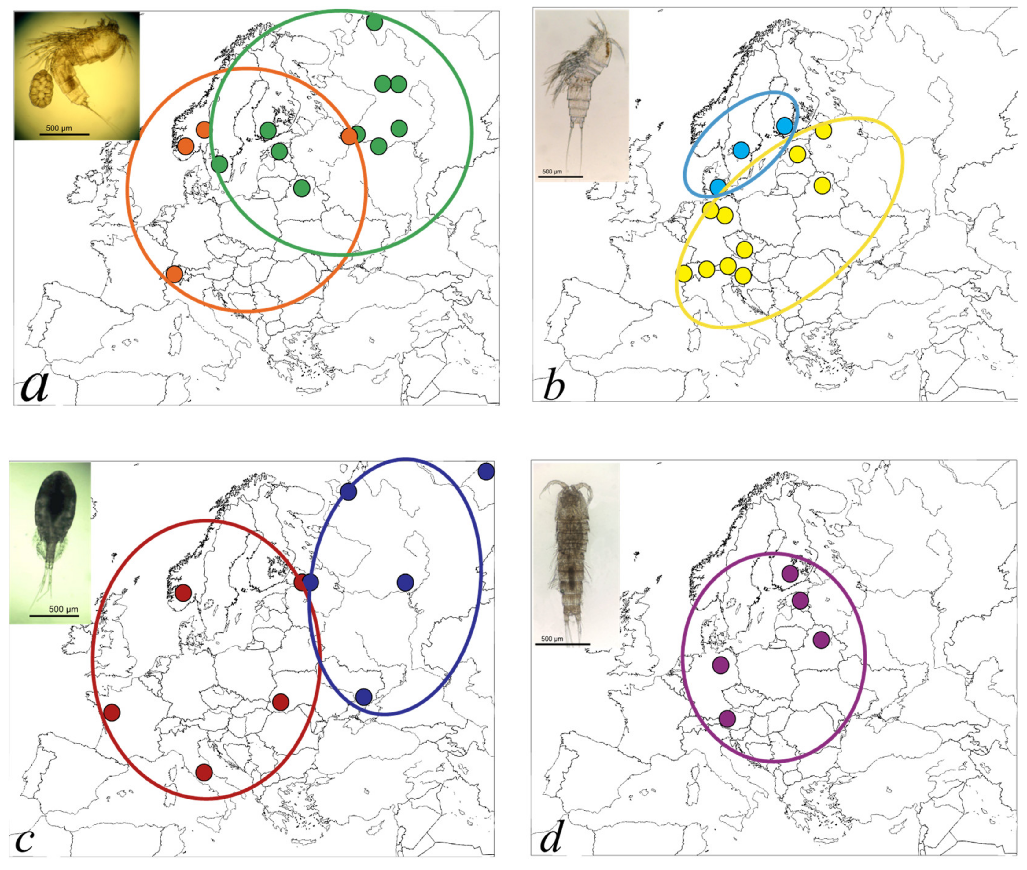 Diversity 13 00448 g005