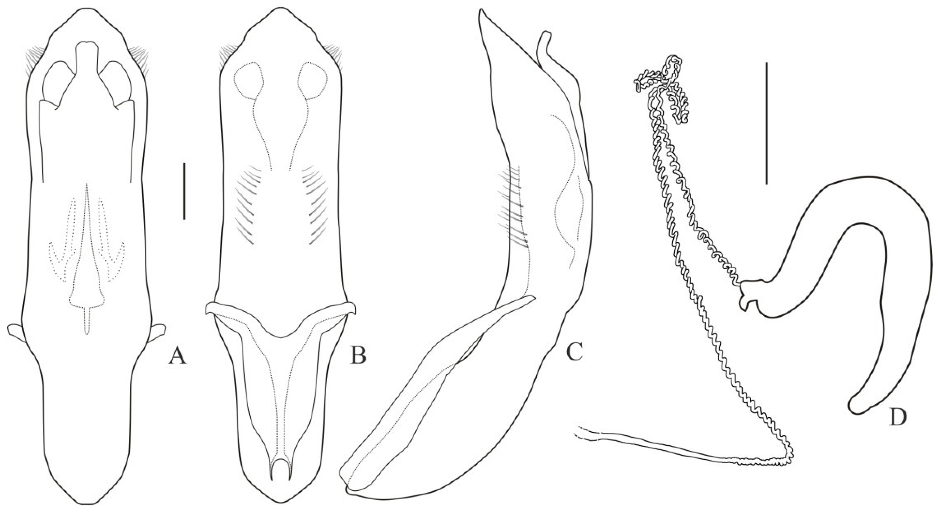 Diversity 13 00451 g002