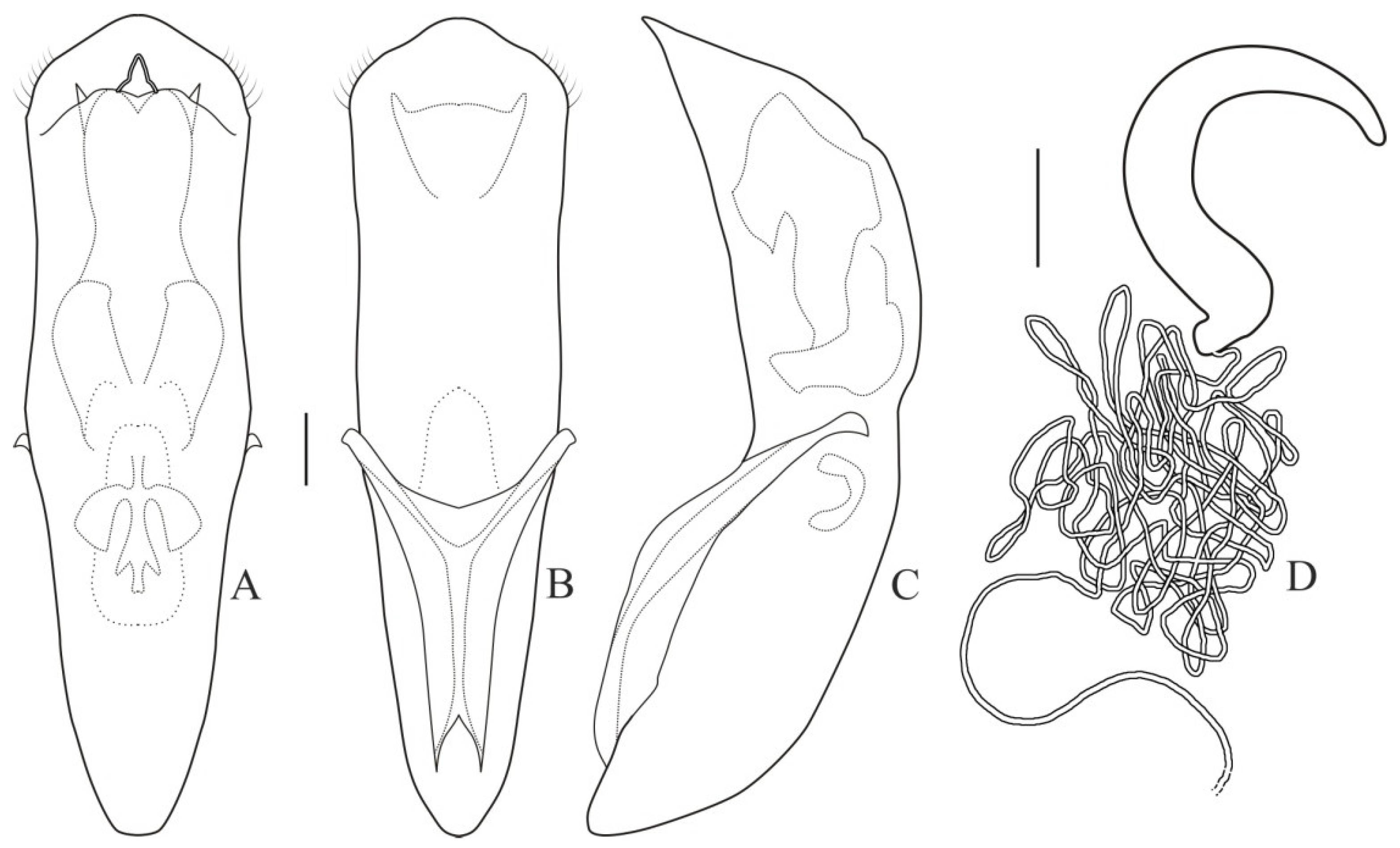 Diversity 13 00451 g004