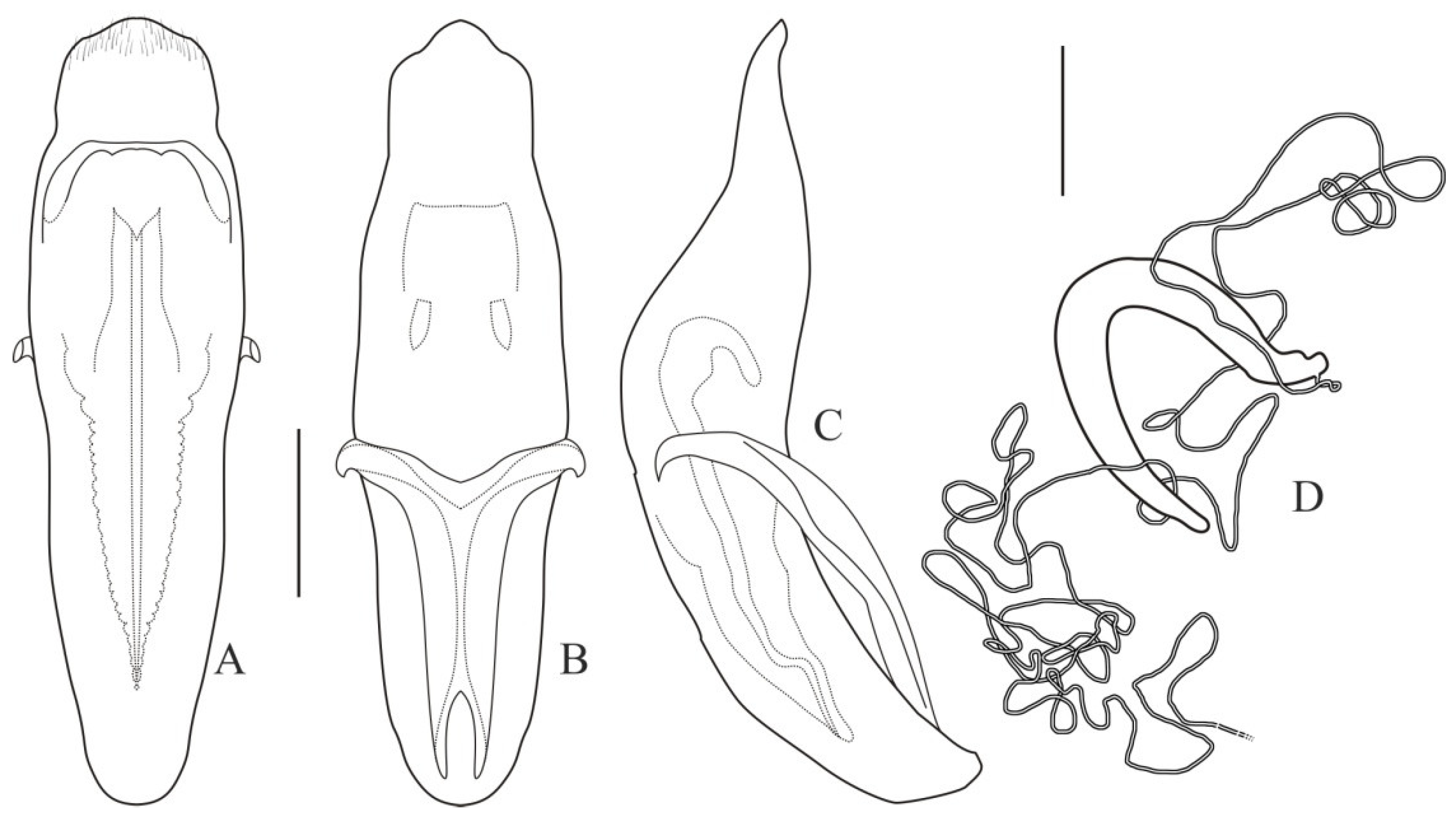 Diversity 13 00451 g006