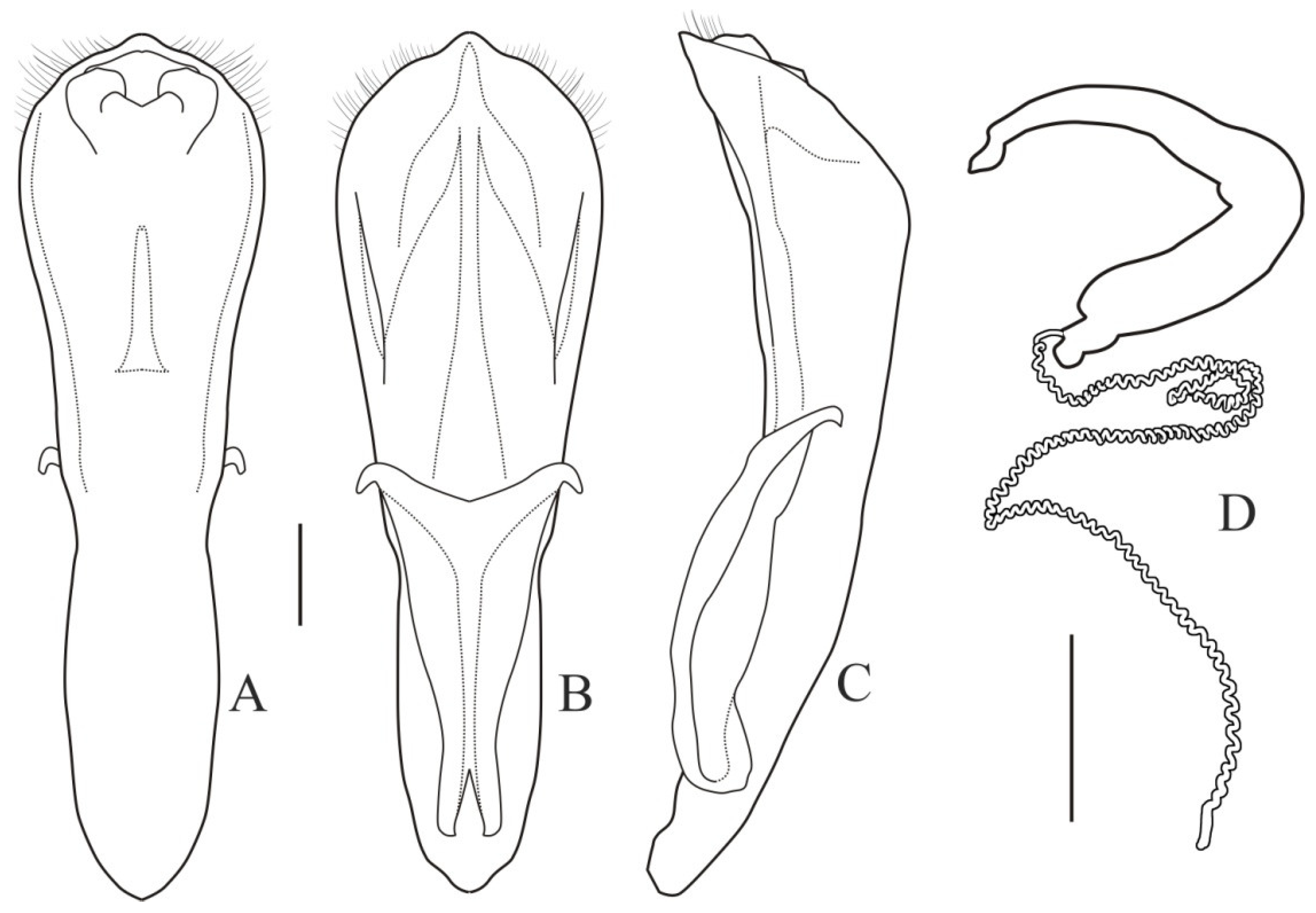 Diversity 13 00451 g008