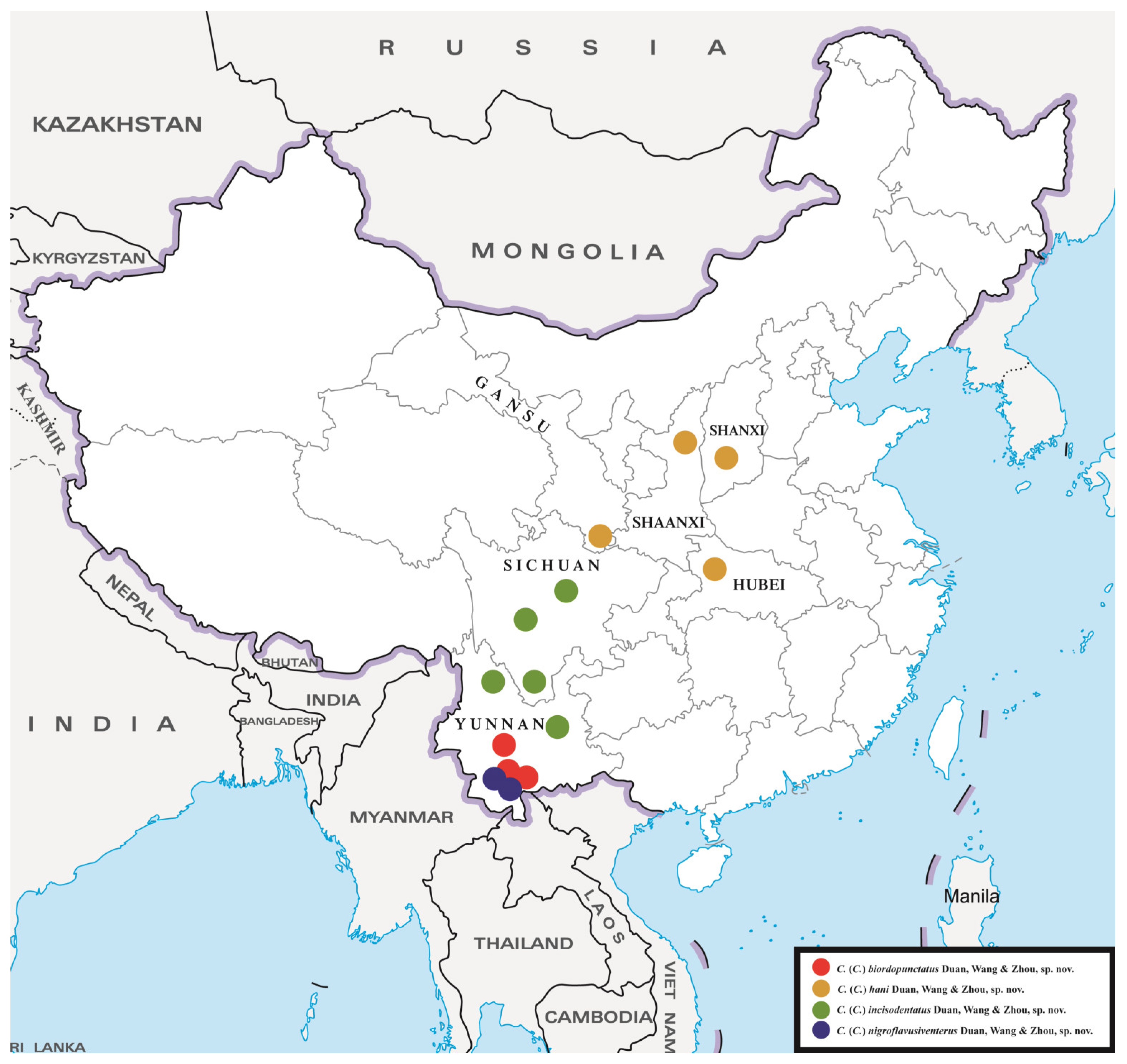 Diversity 13 00451 g009