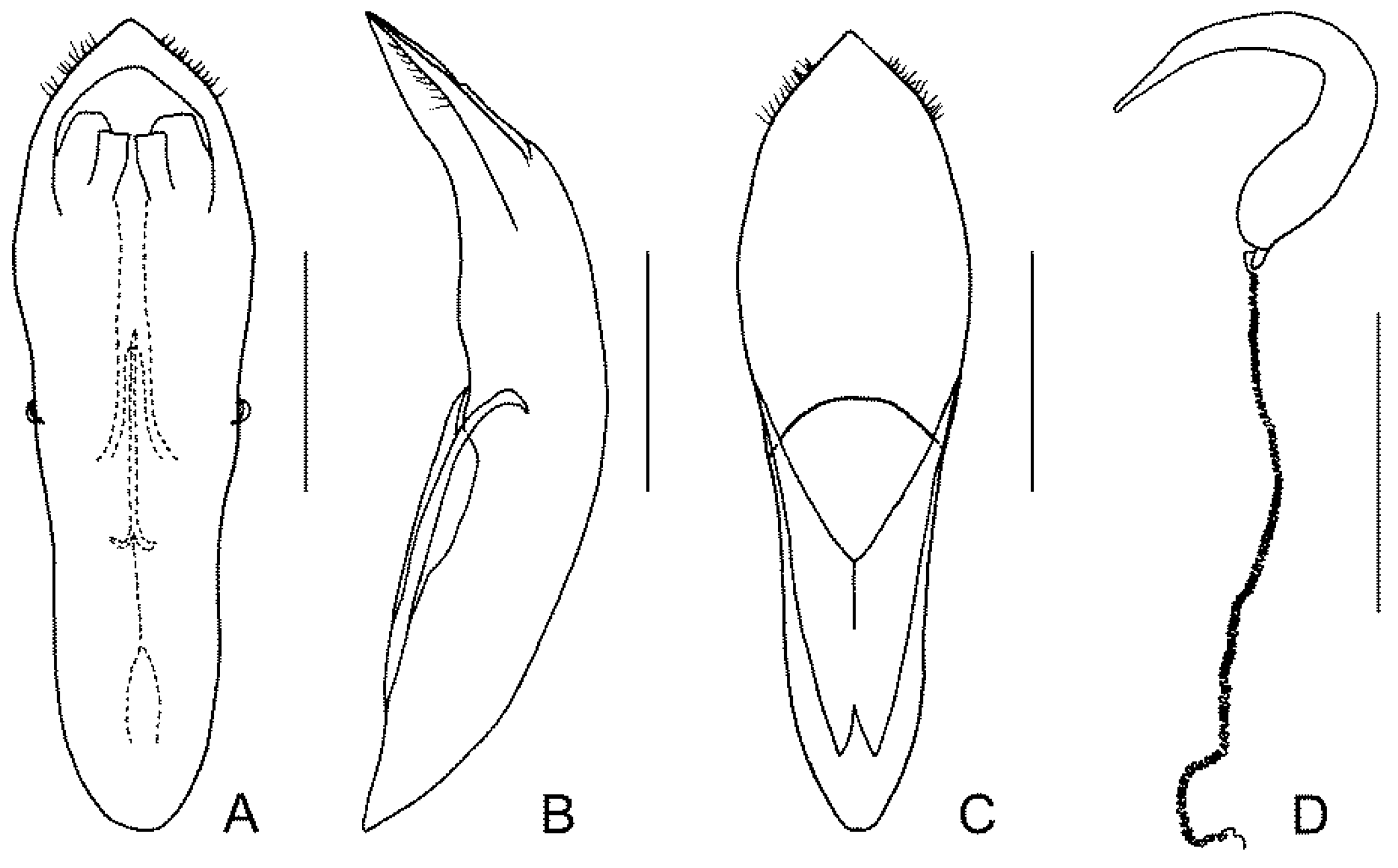 Diversity 13 00451 g011