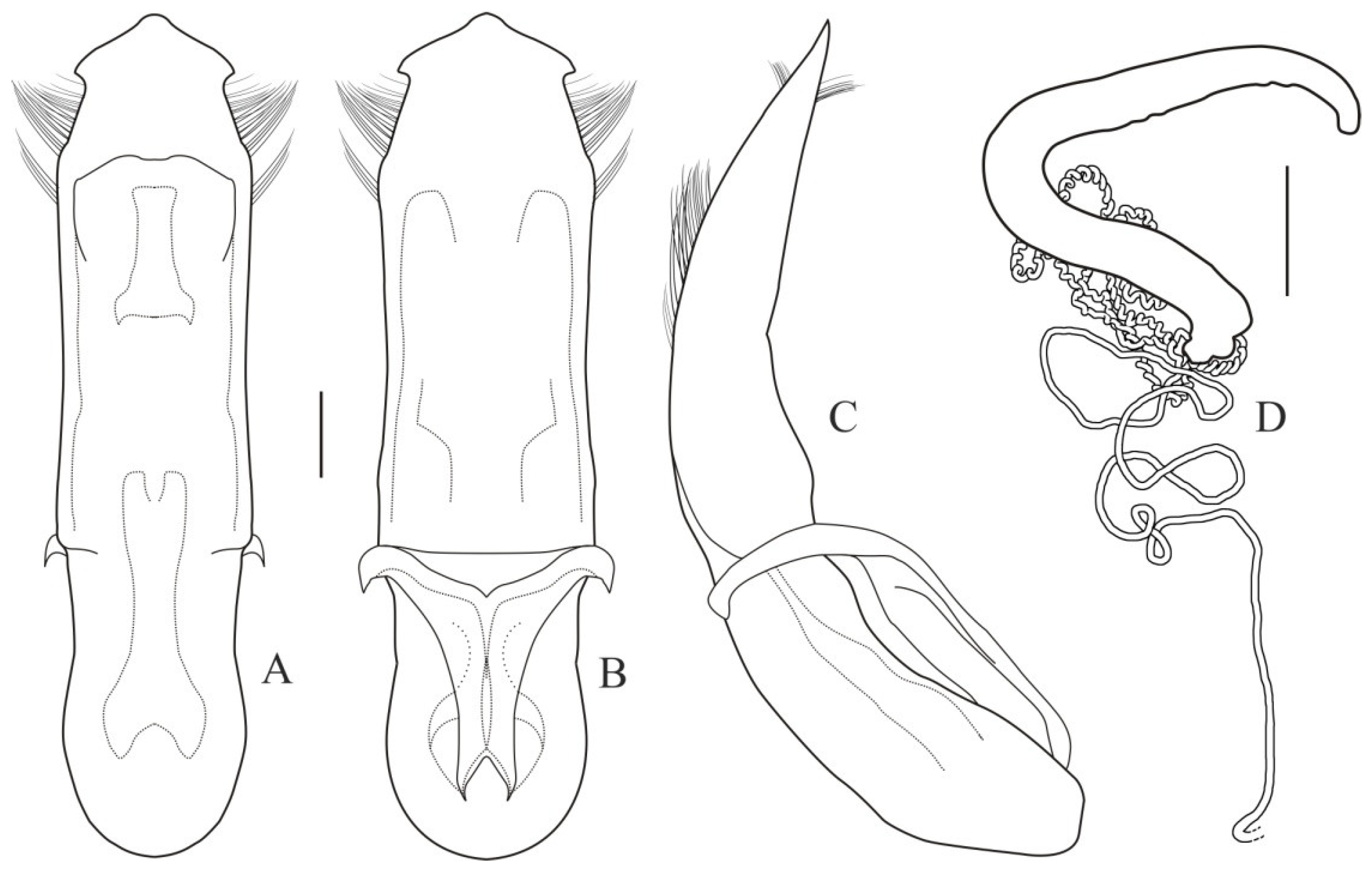 Diversity 13 00451 g013