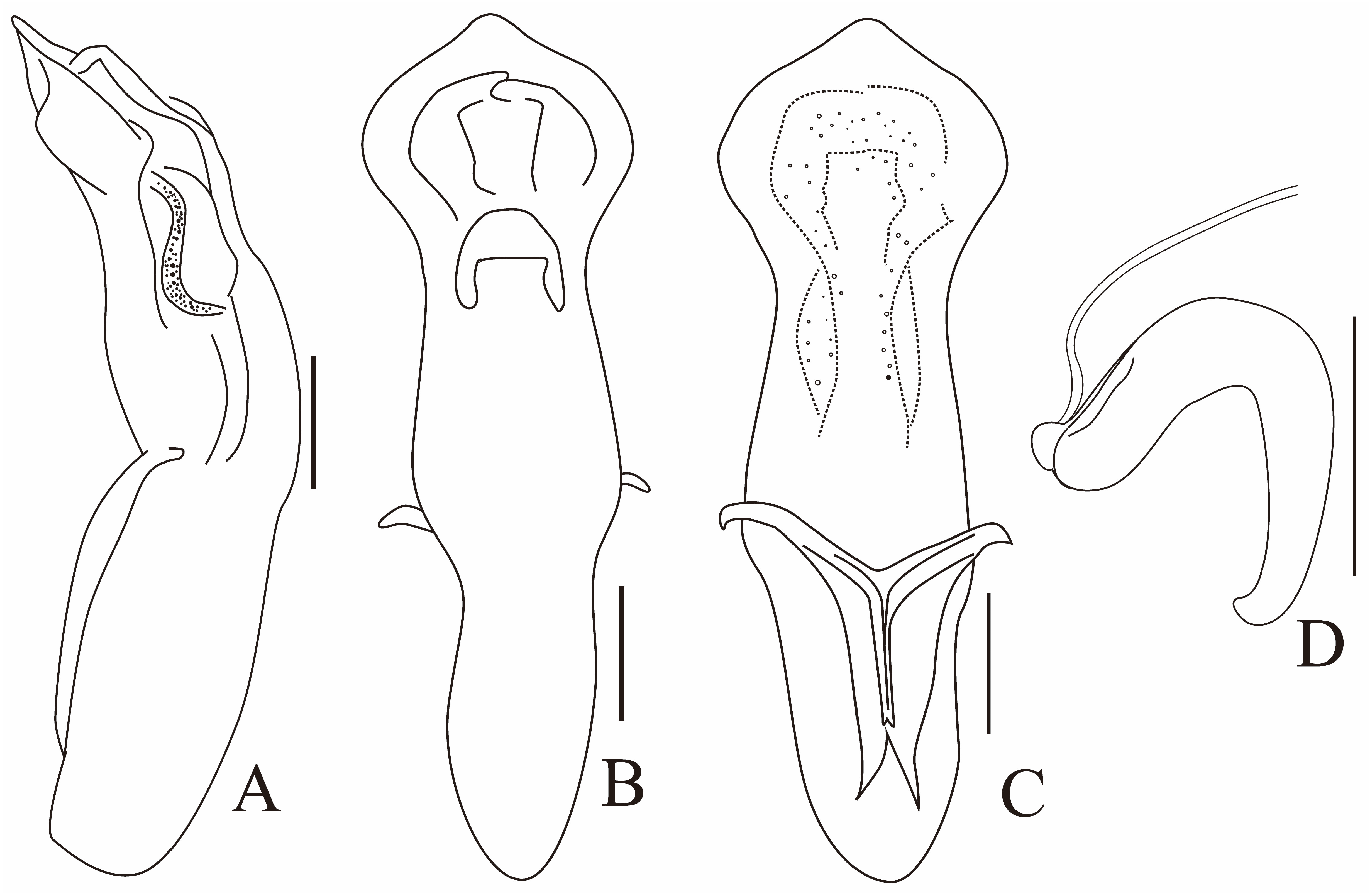 Diversity 13 00451 g016