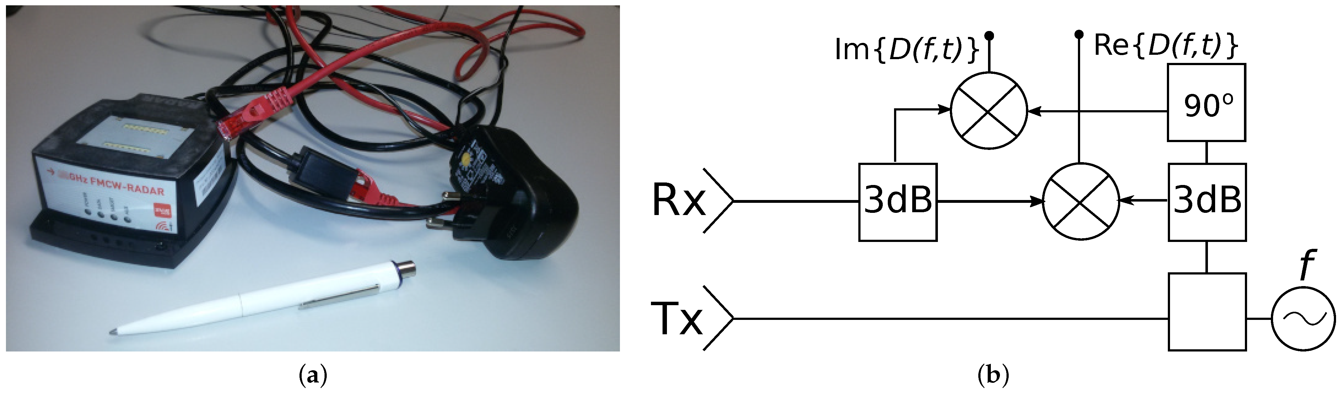 Diversity 13 00452 g001