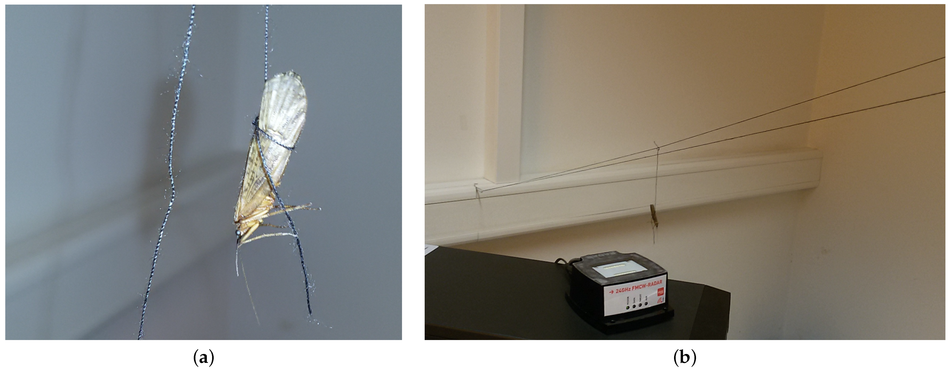 Diversity 13 00452 g002