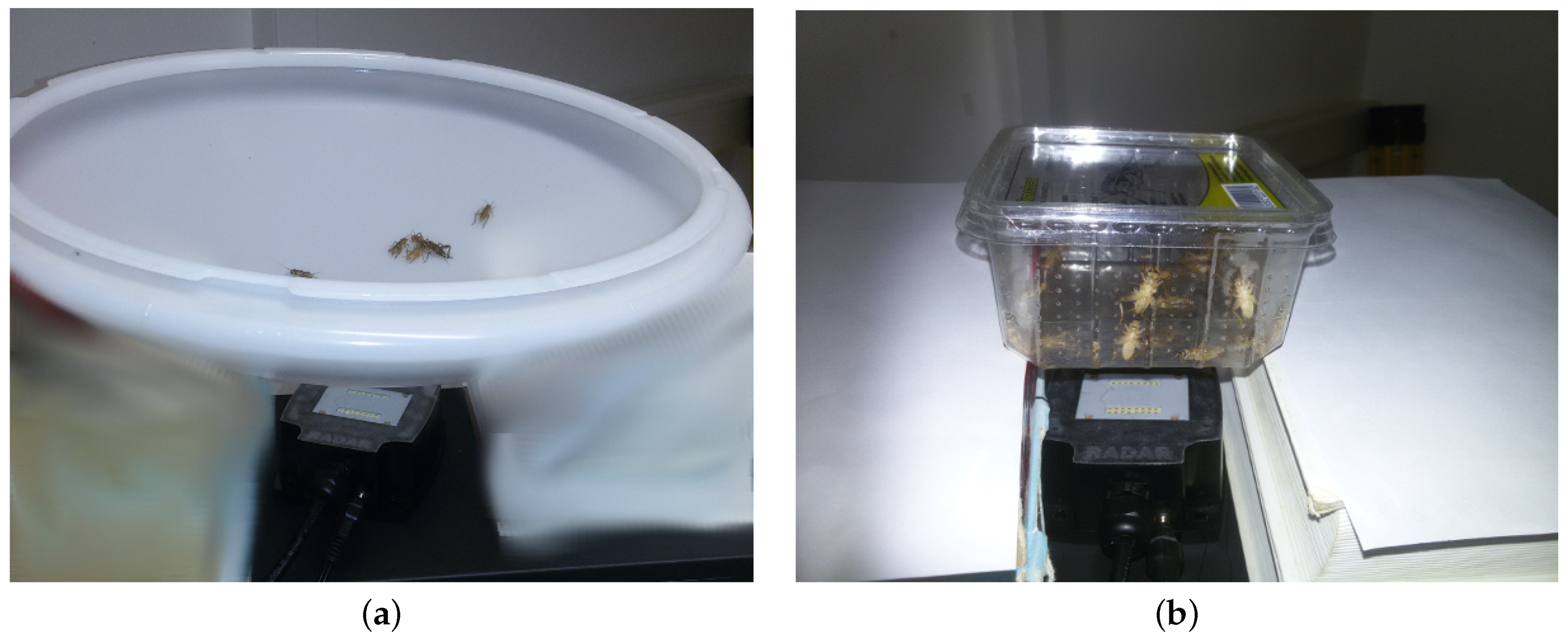 Diversity 13 00452 g003