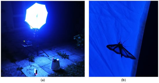 Diversity 13 00452 g0a1 550