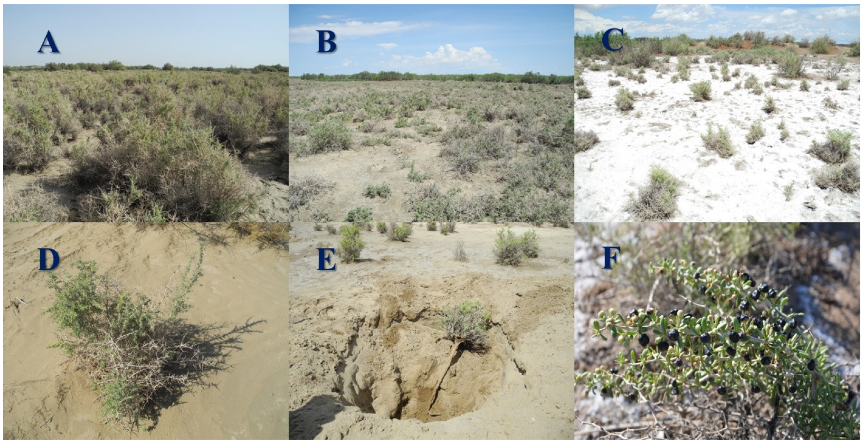 Diversity 13 00453 g001