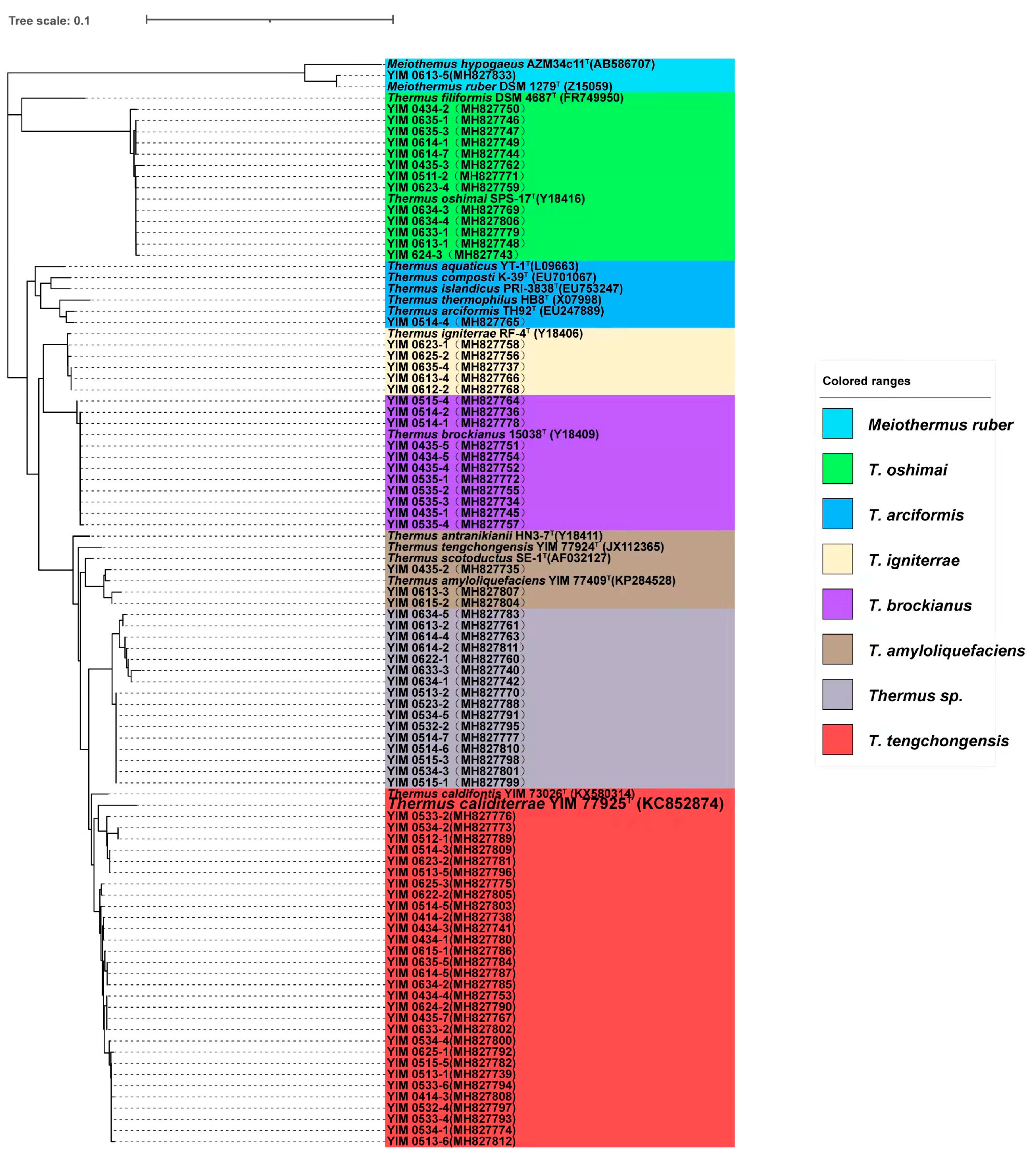 Diversity 13 00455 g002