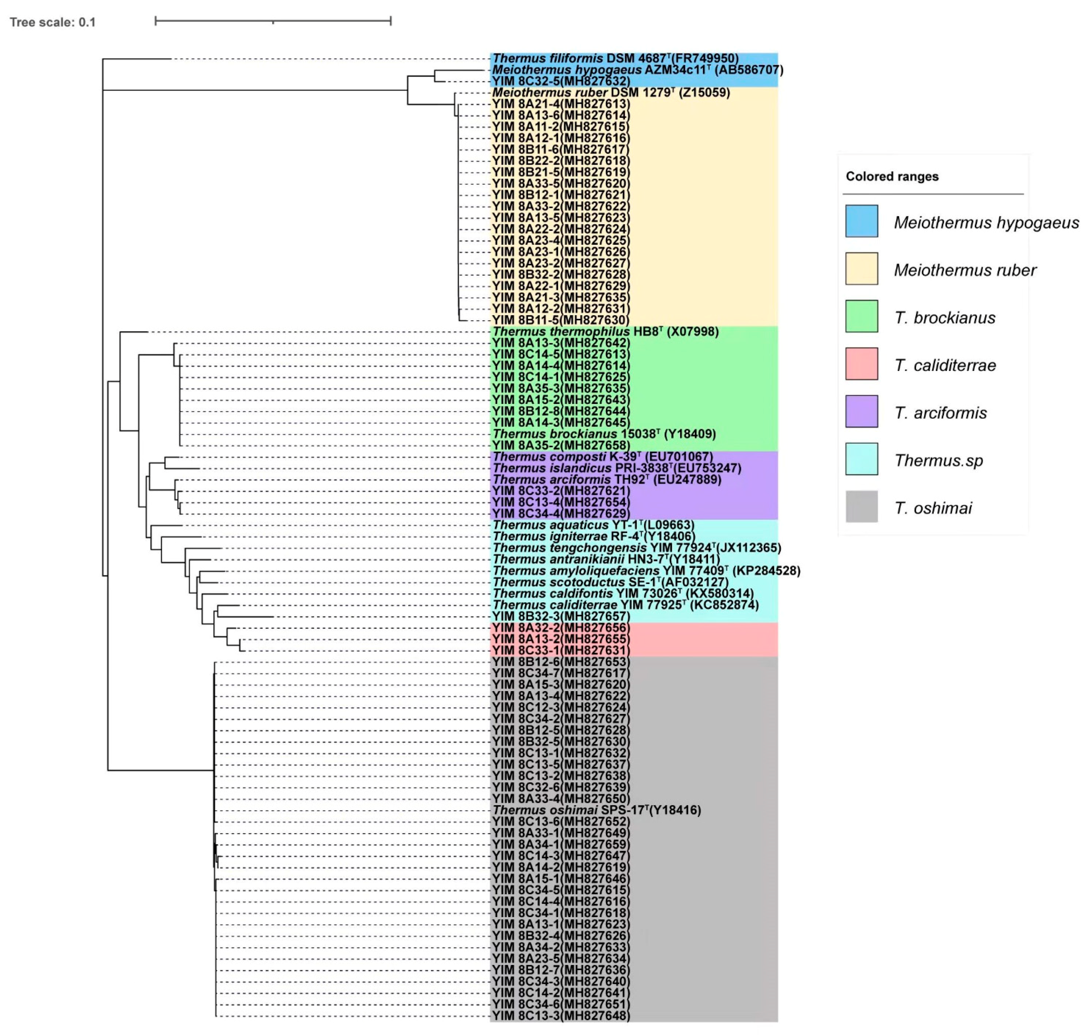 Diversity 13 00455 g003