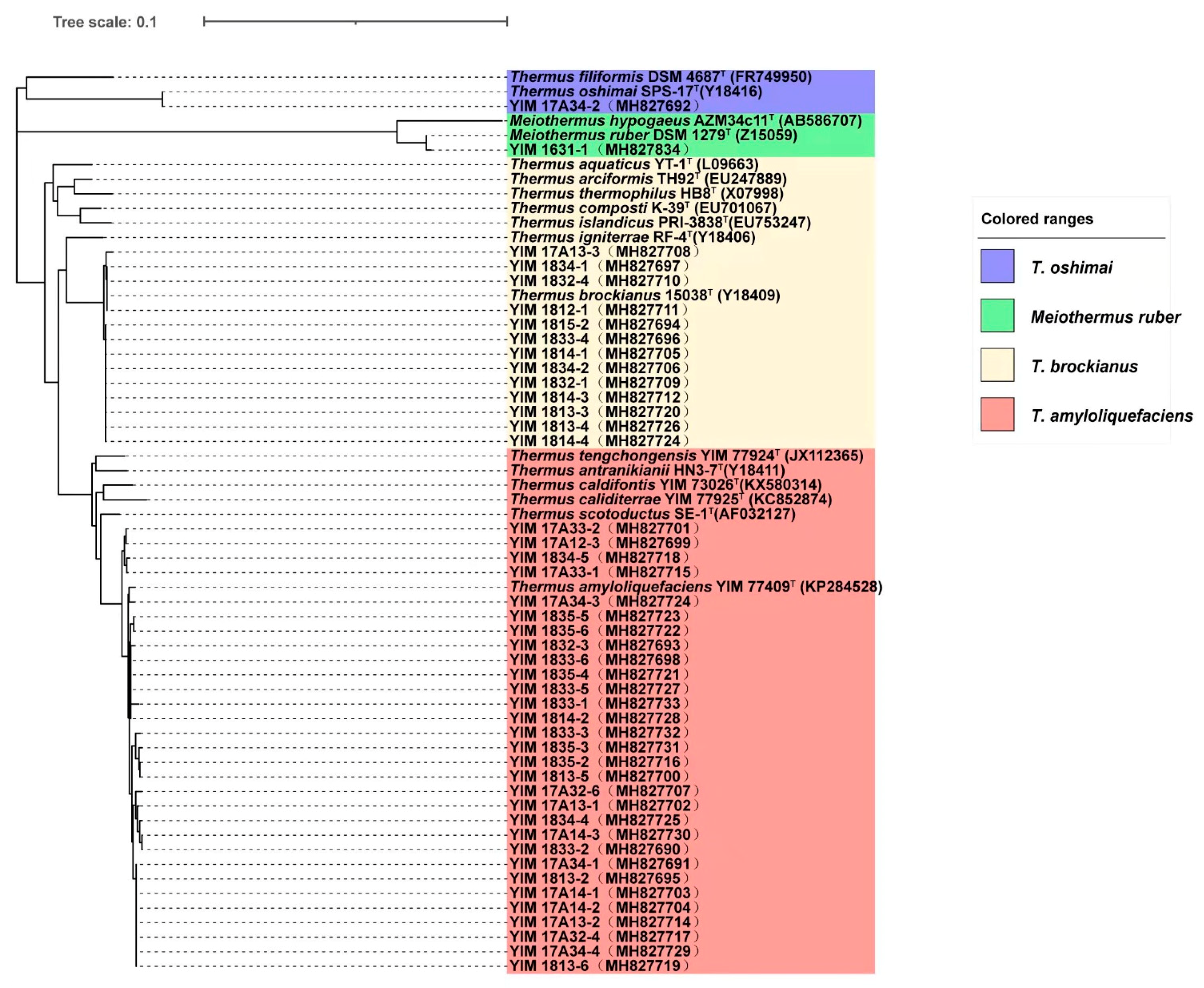 Diversity 13 00455 g004