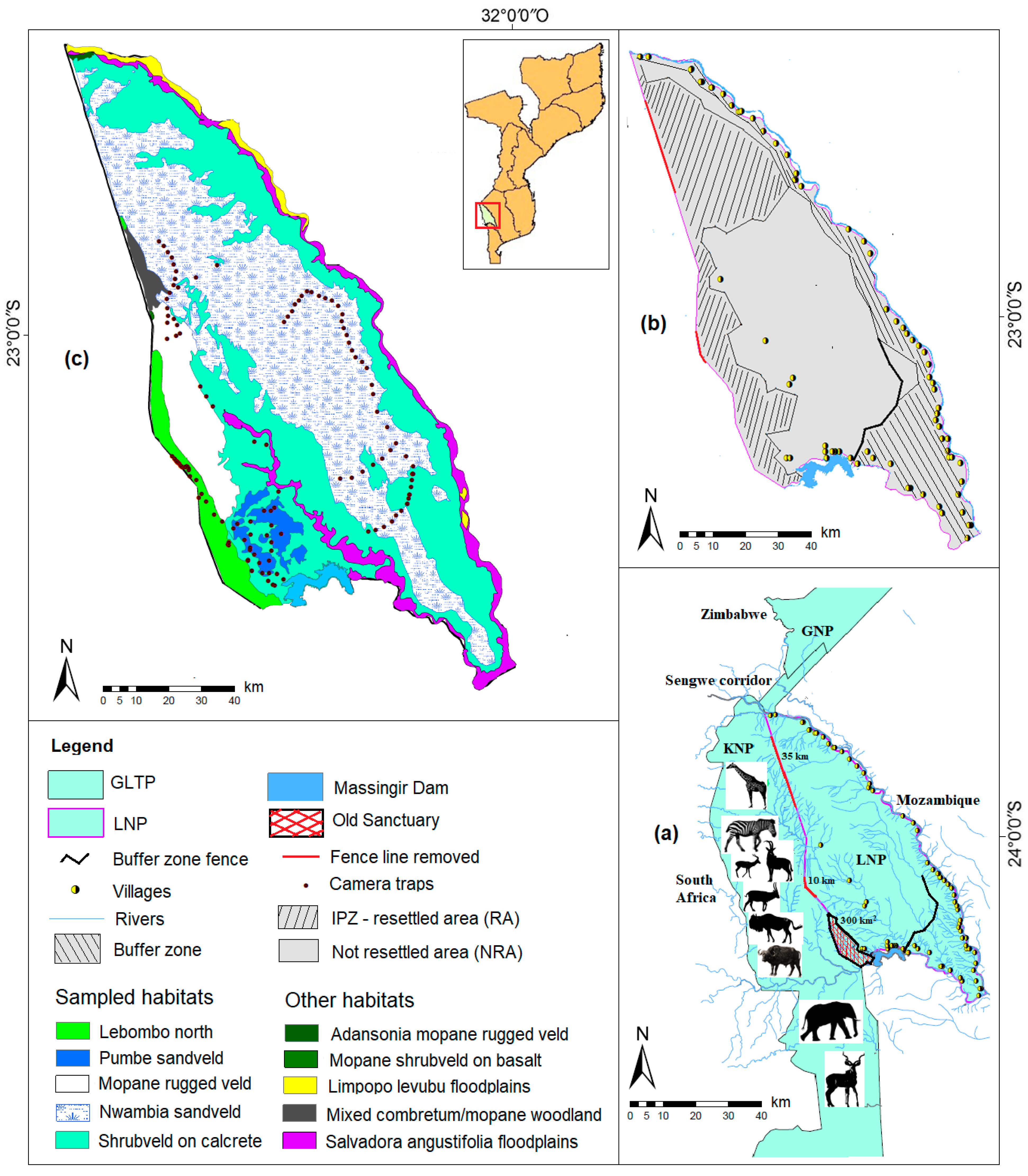 Diversity 13 00456 g001