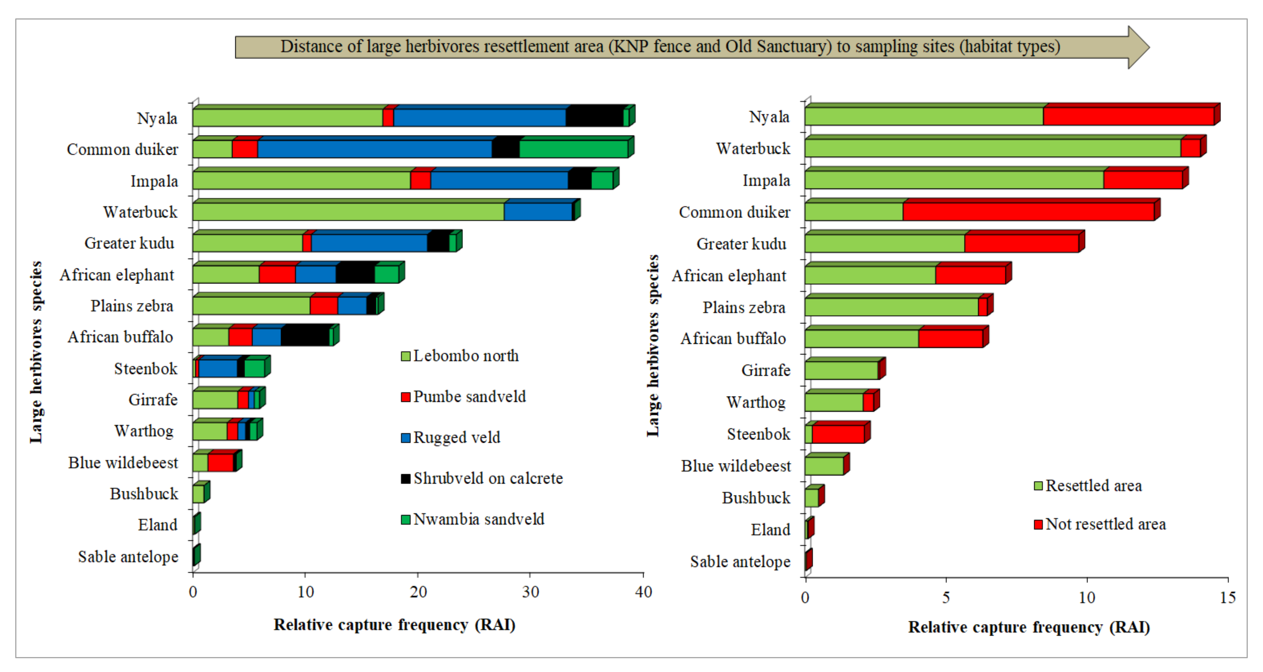 Diversity 13 00456 g003