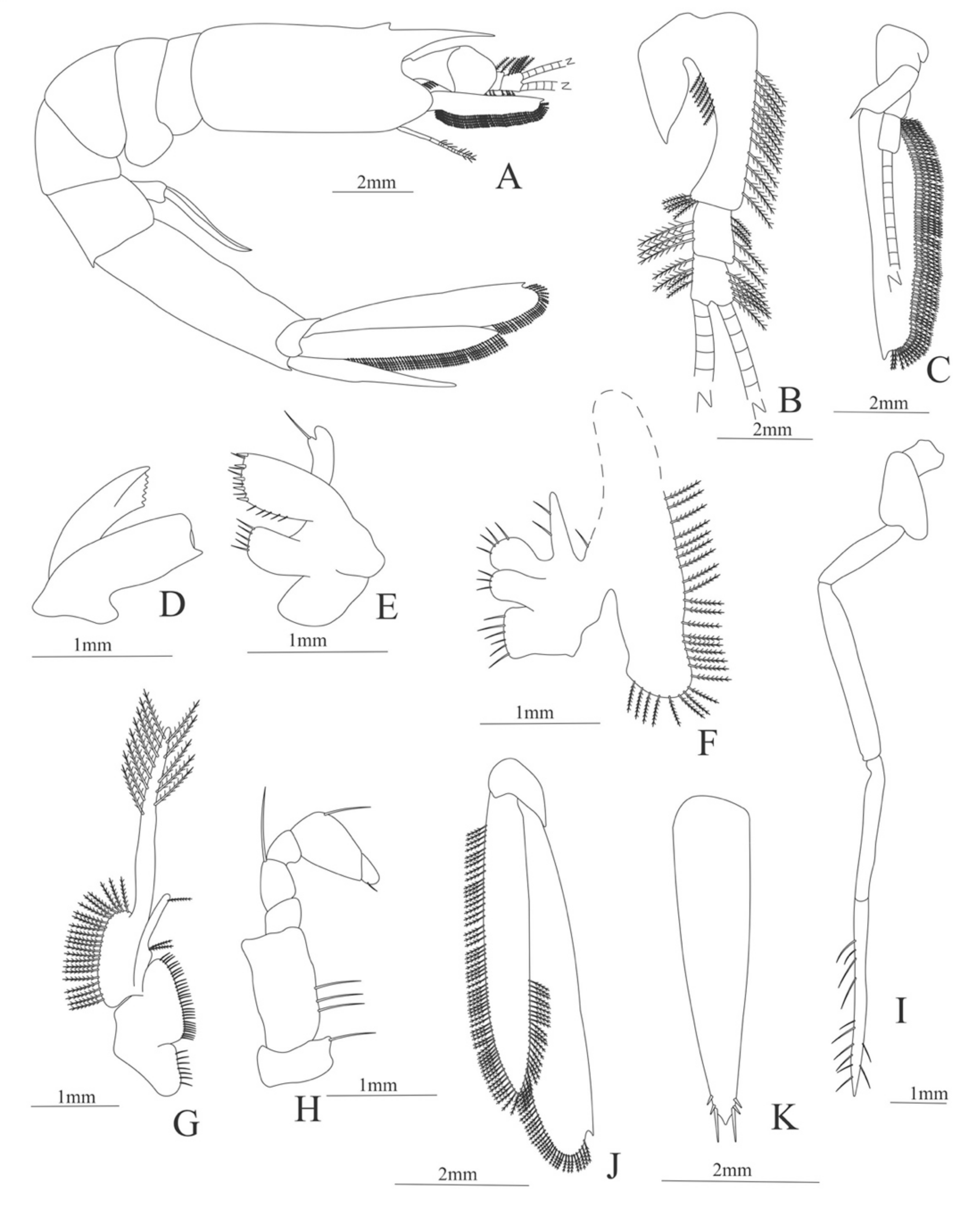 Diversity 13 00457 g004