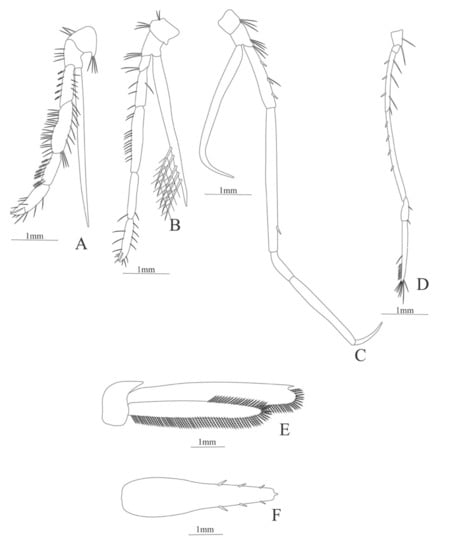 Diversity 13 00457 g006