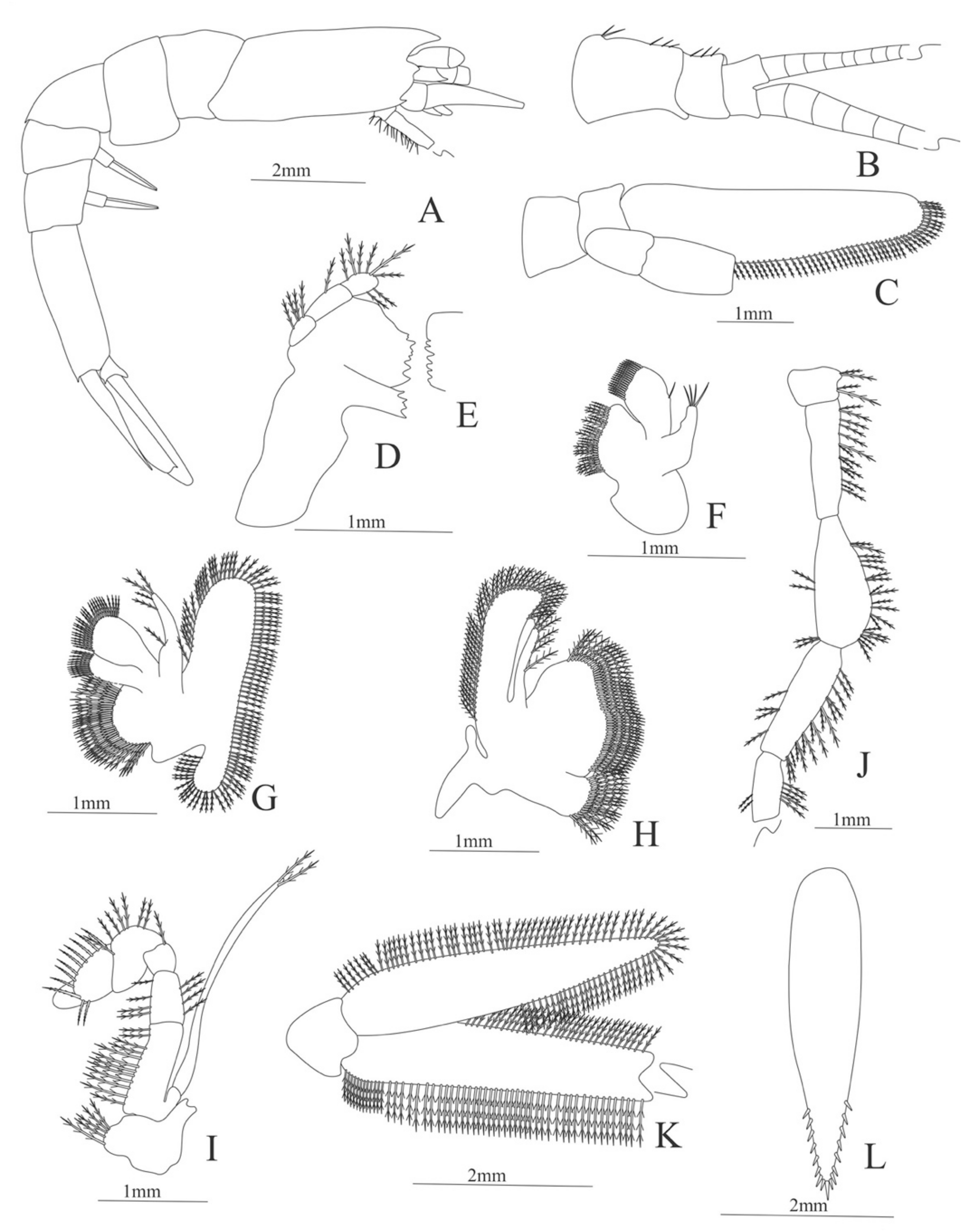 Diversity 13 00457 g007
