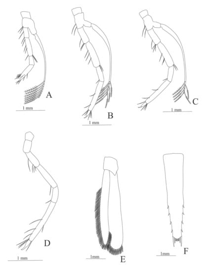 Diversity 13 00457 g009